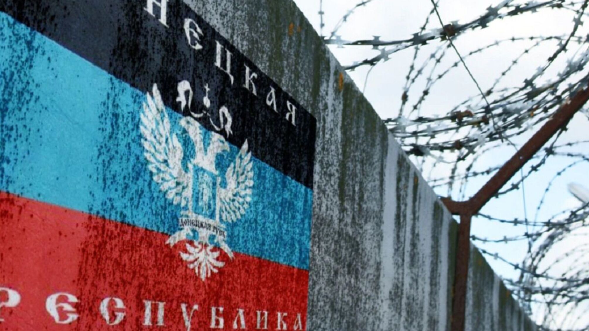 ДНР колония