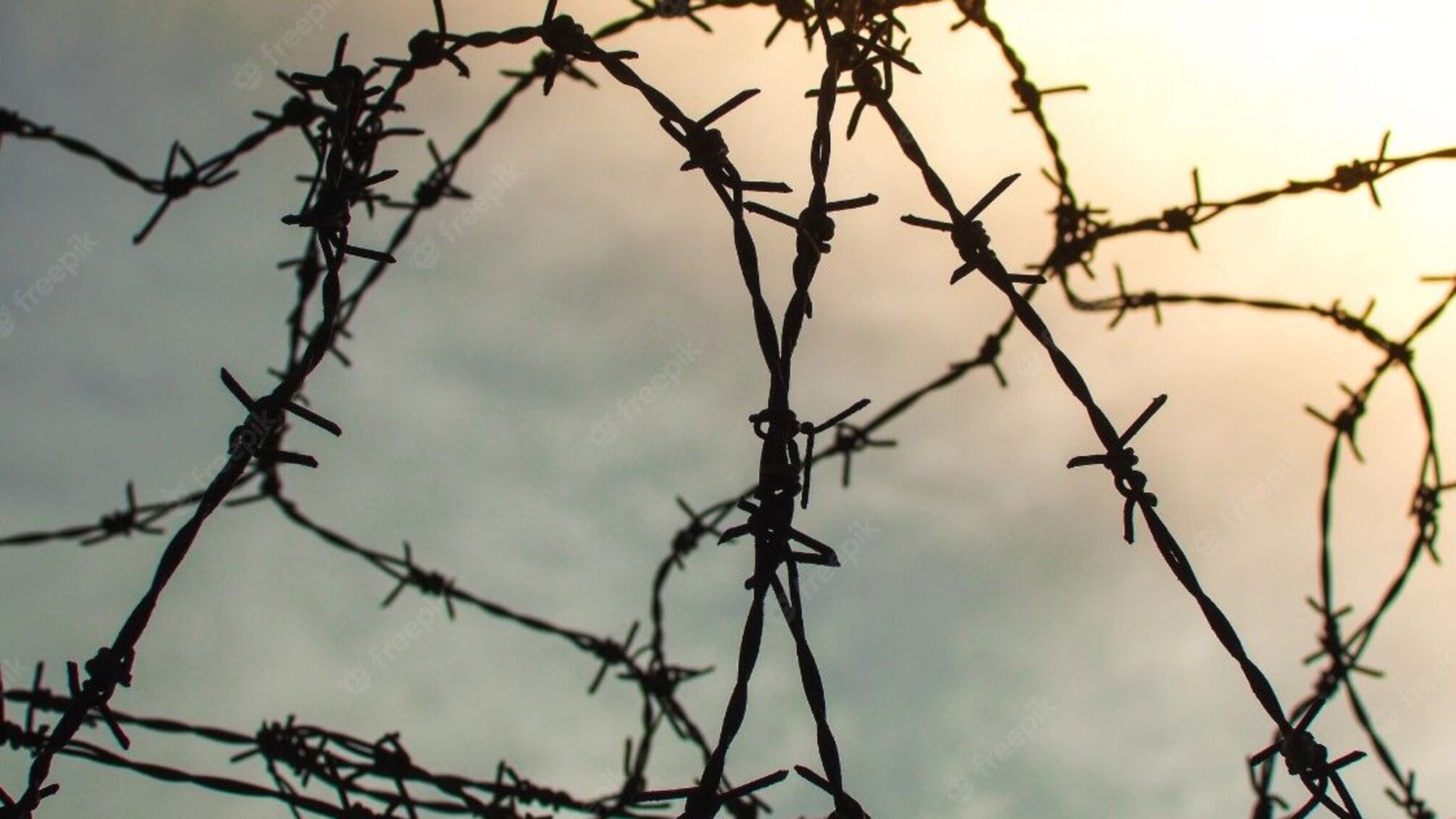 колючая проволока