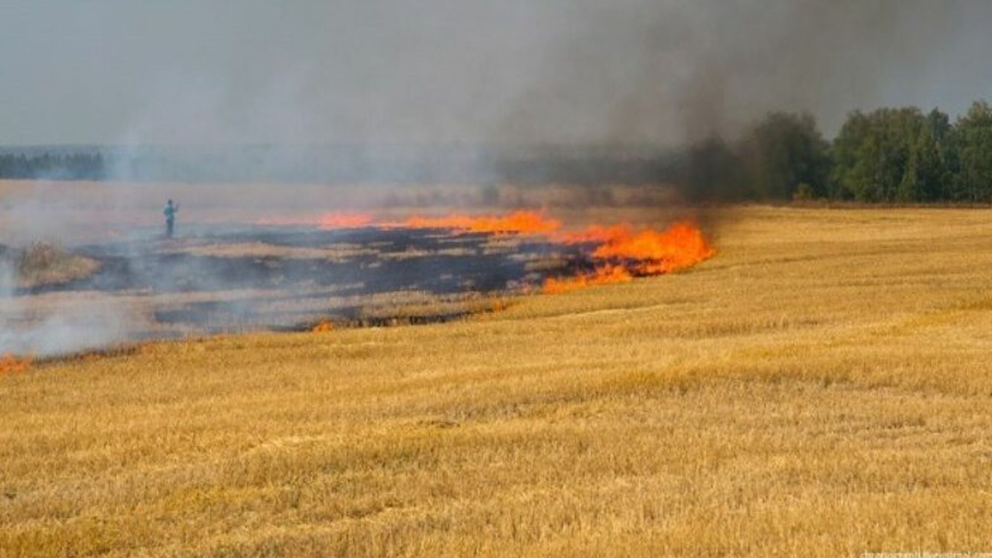 Оккупанты снова обстреляли Днепропетровскую область, горит урожай озимых