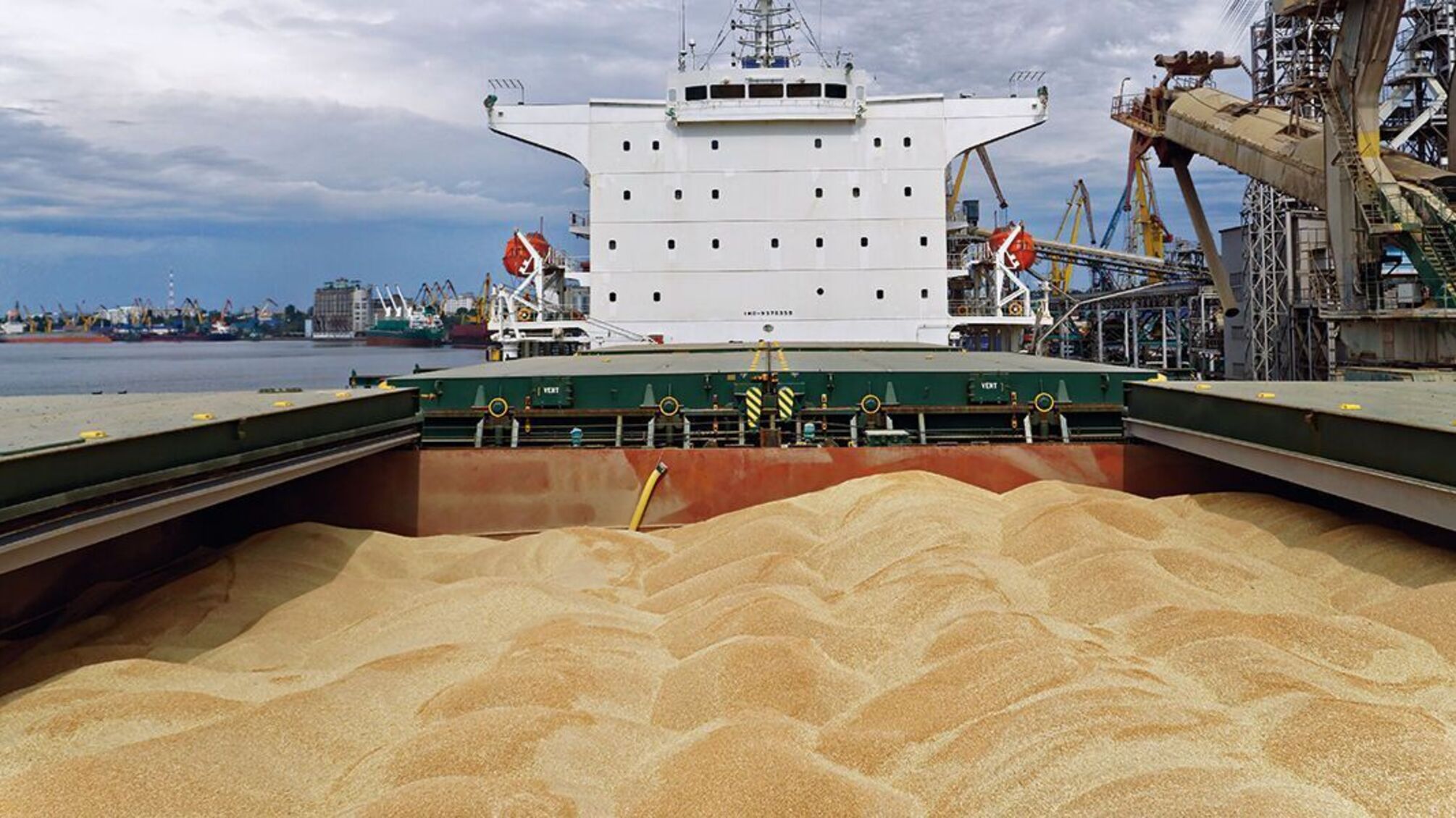 Украденное на Запорожье зерно будут покупать Иран и Ирак, – предатель Балицкий