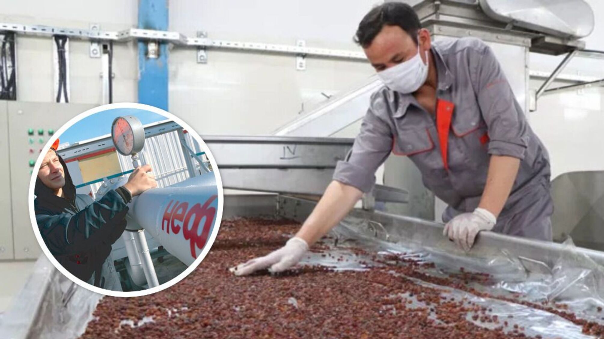 родзинки нафта