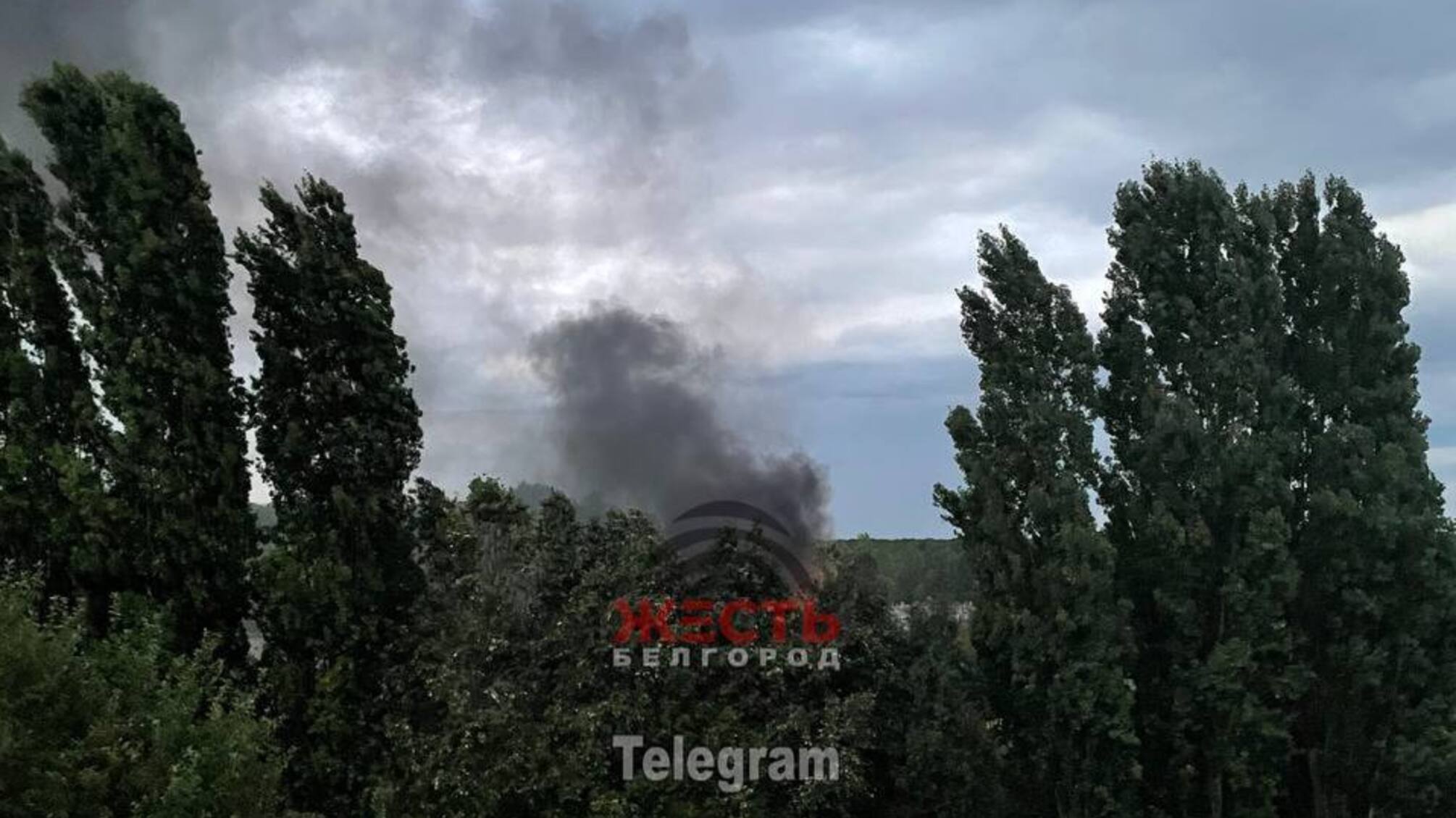 дим білгород