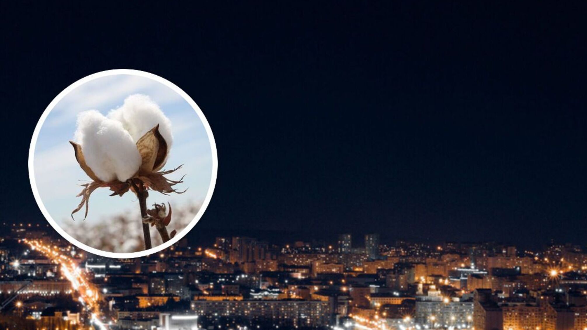 Белгород в рф