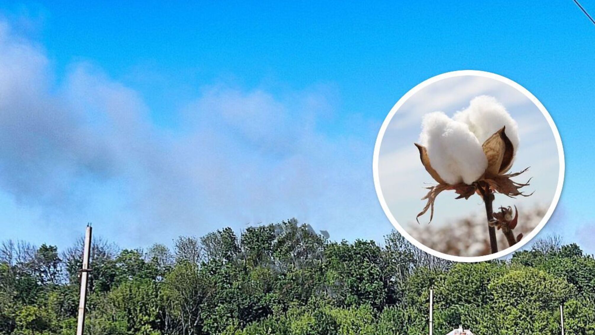 село Тимоново