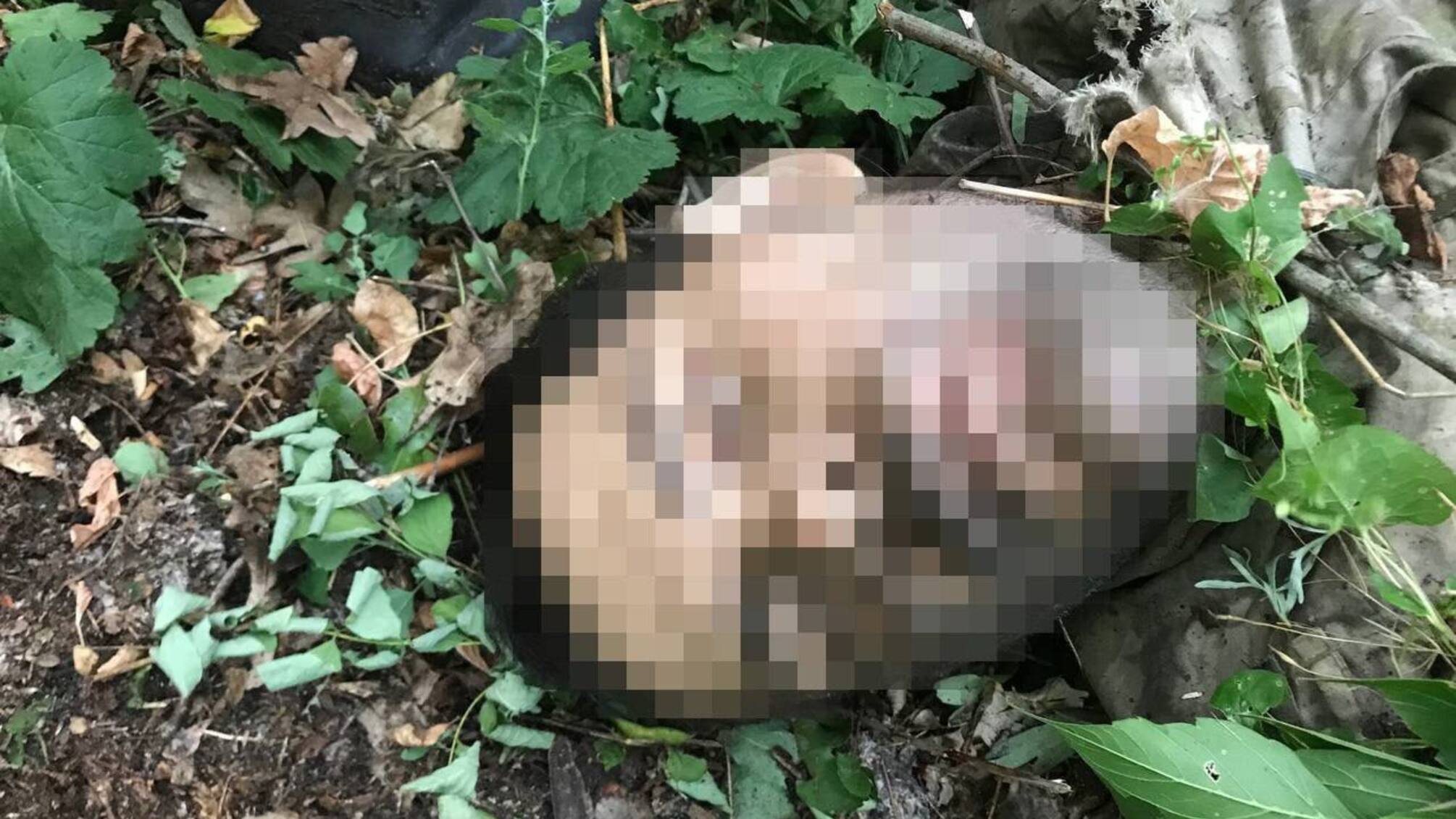 Азов уничтожает россиян