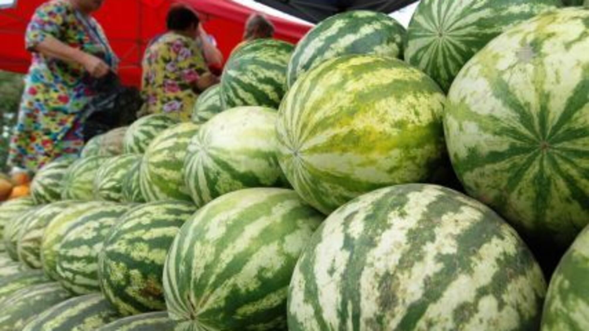 в Москве отравились херсонскими арбузами