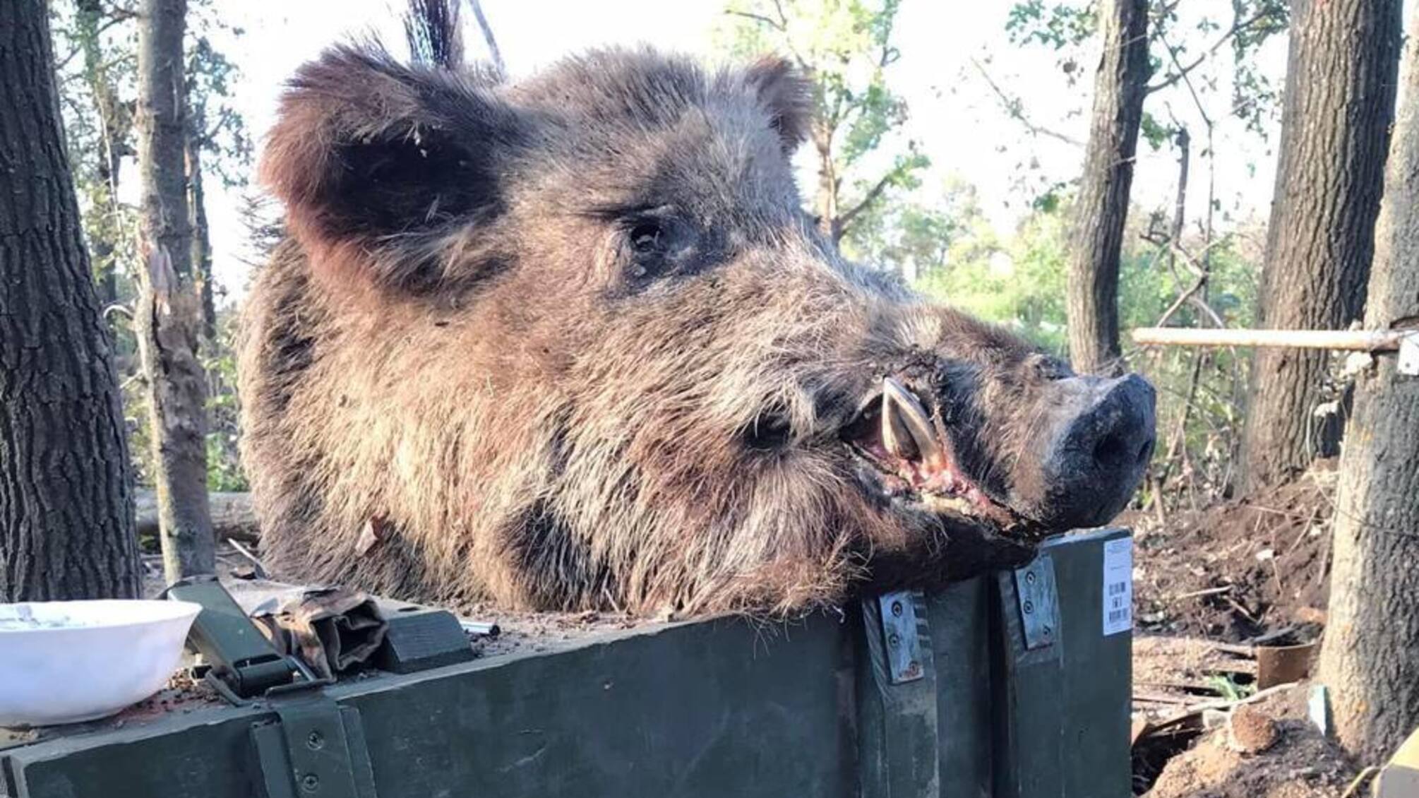 Українські бійці показали незвичайні трофеї з Харківського напрямку