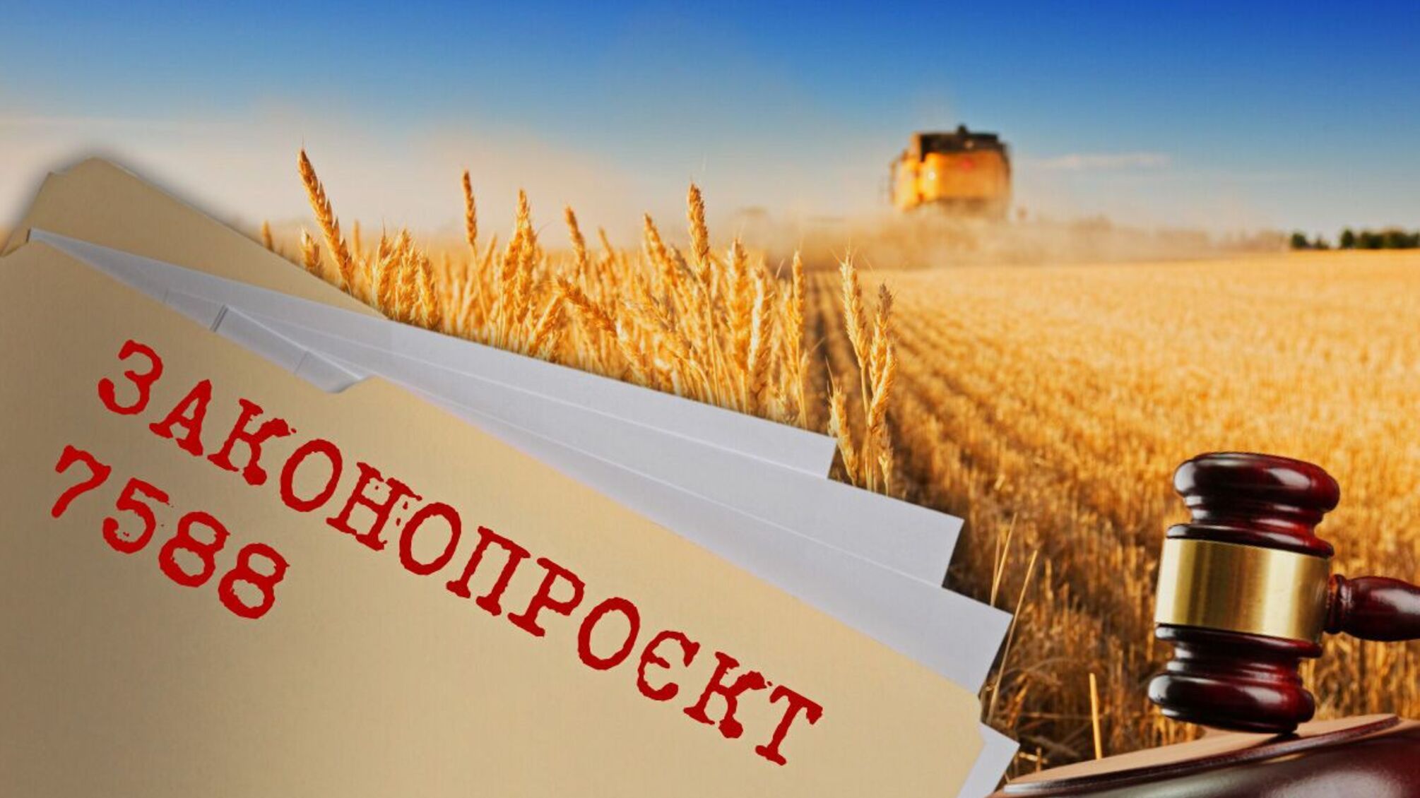 Поля Национальной академии аграрных наук могут пустить с молотка