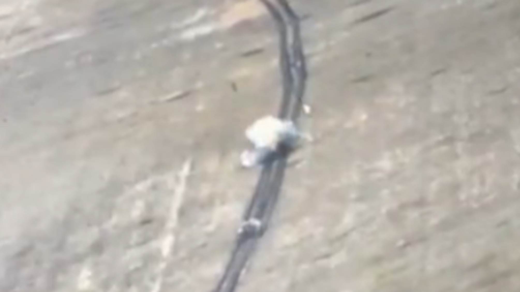 ВСУ уничтожили танк оккупантов