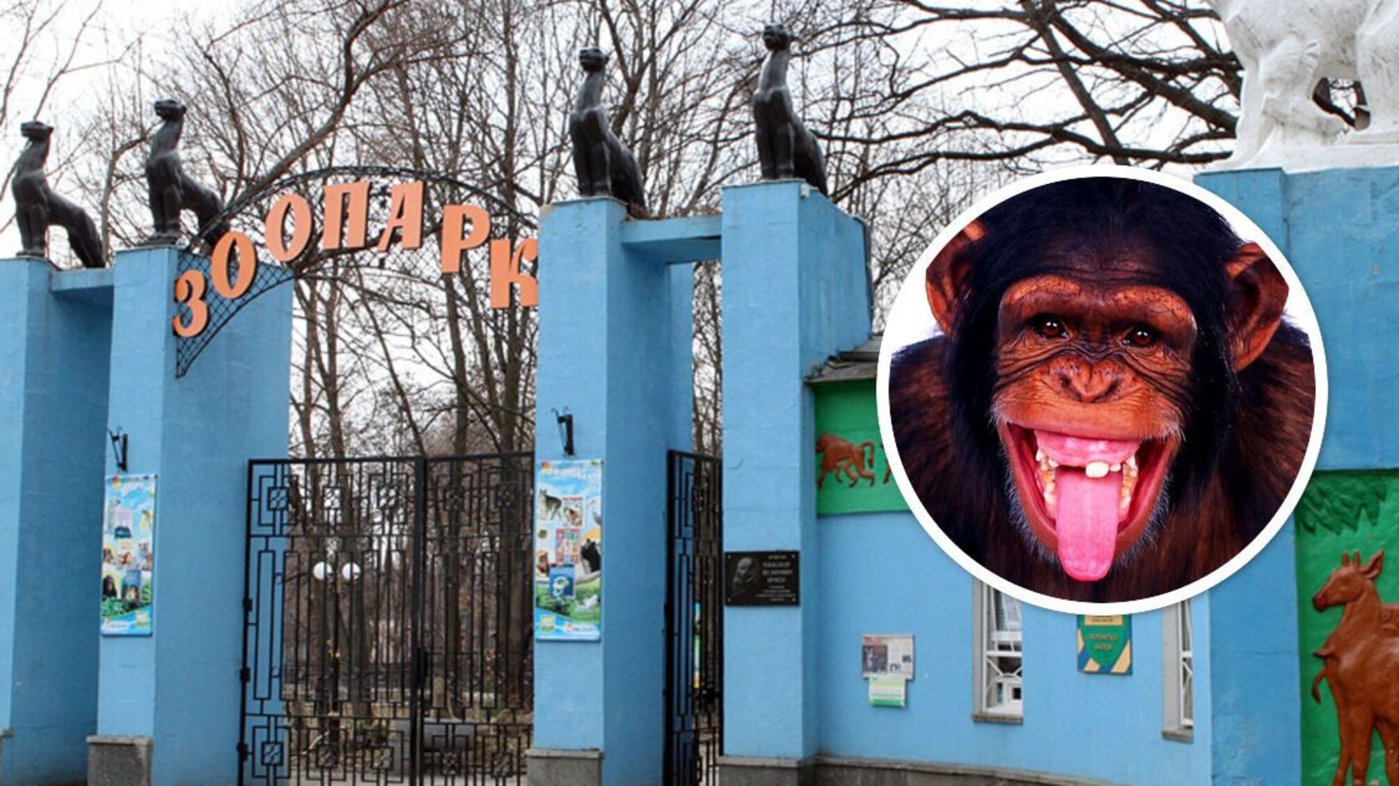 Из Харьковского зоопарка сбежала обезьяна: открыла клетку и гуляла по городу (видео)