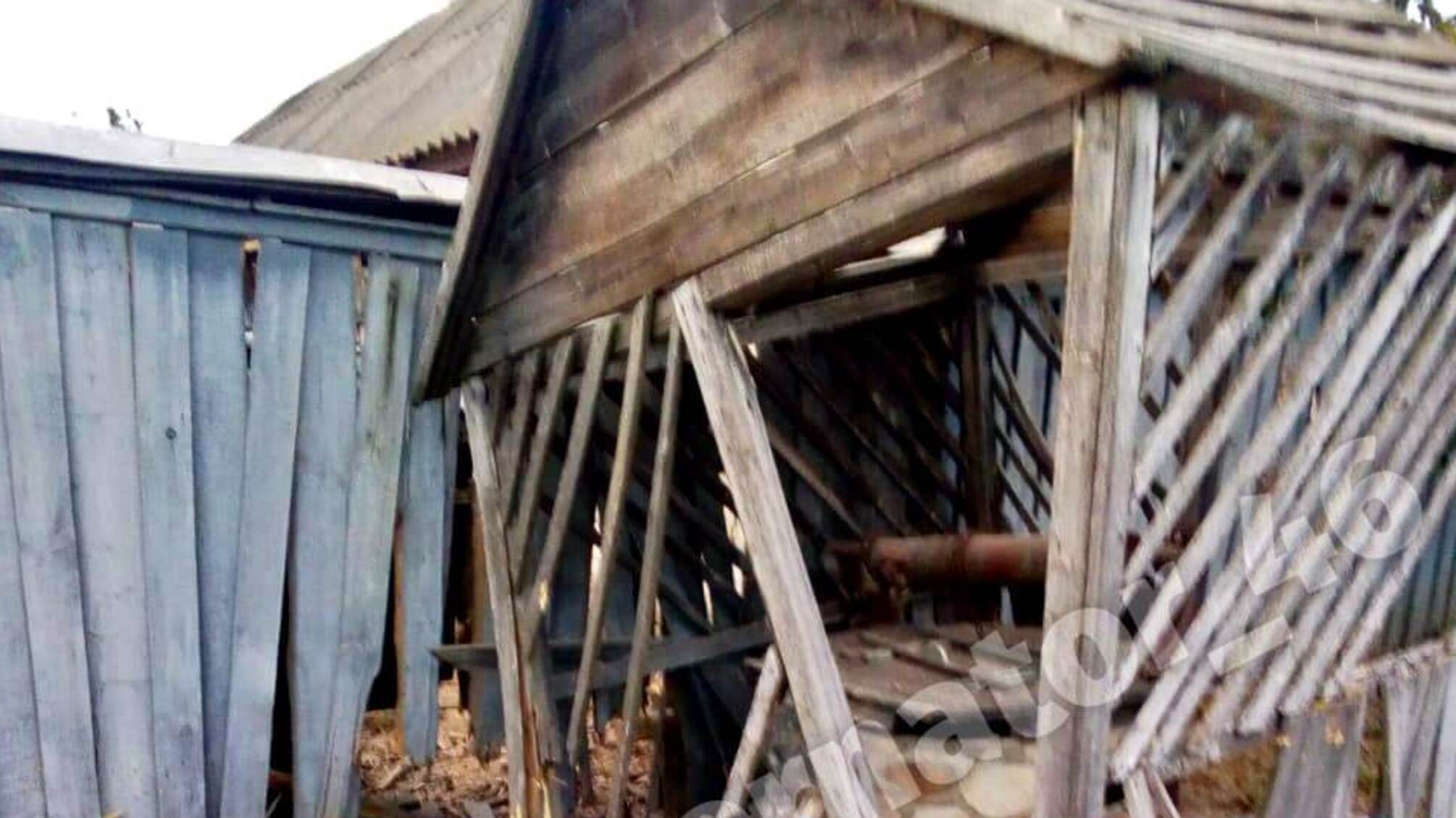 'Бавовна' в Курській області