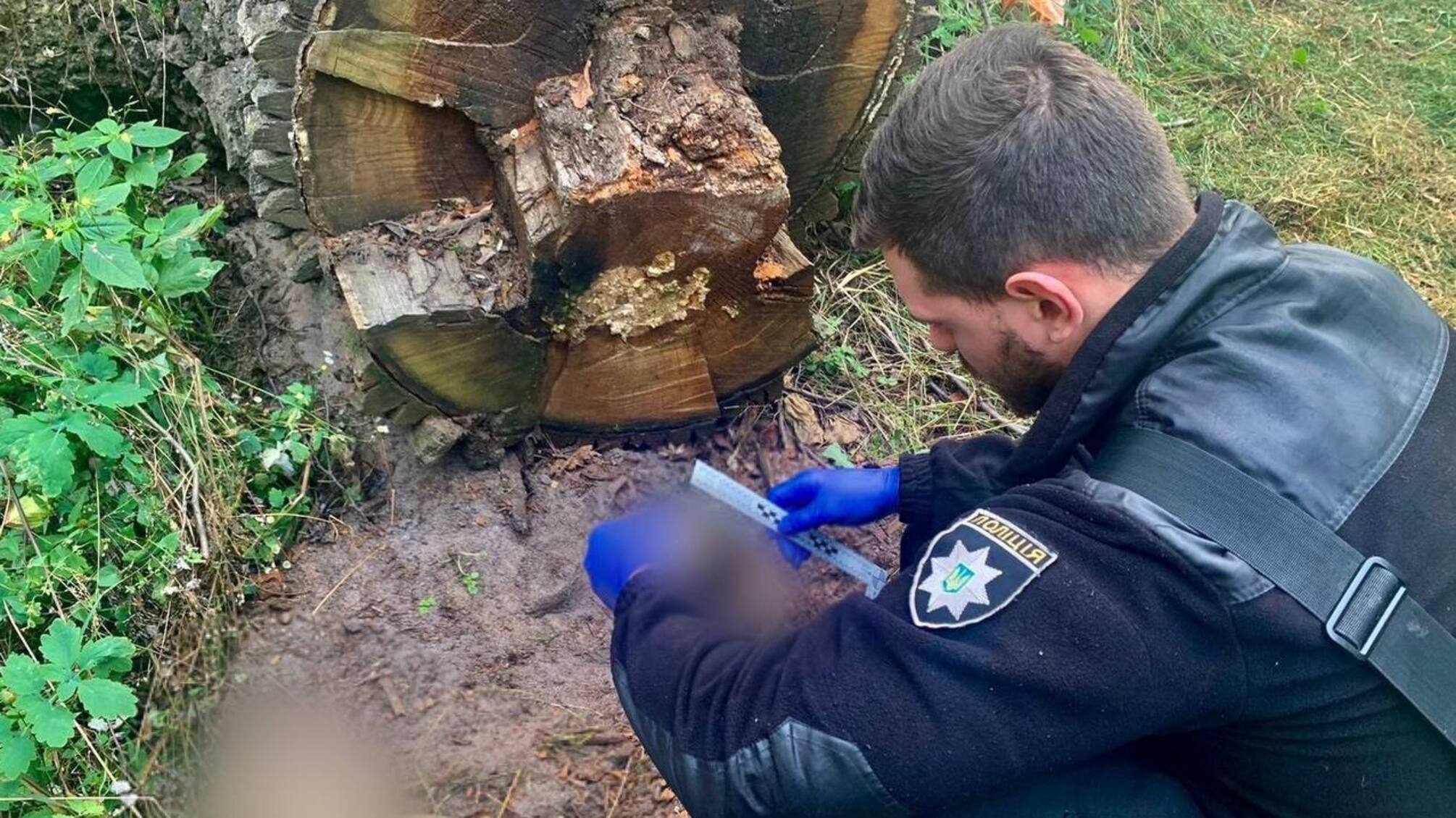 поліцейський