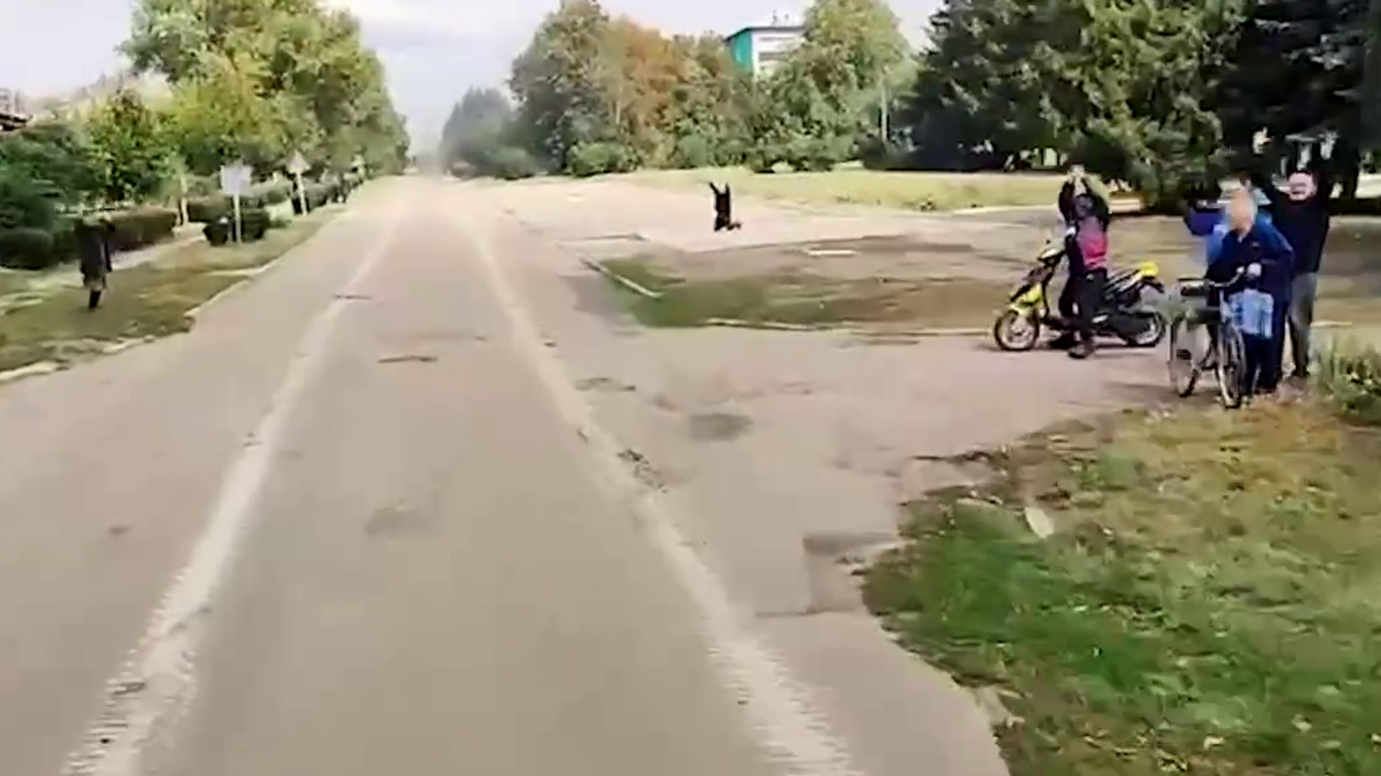 зсу звільнені селища