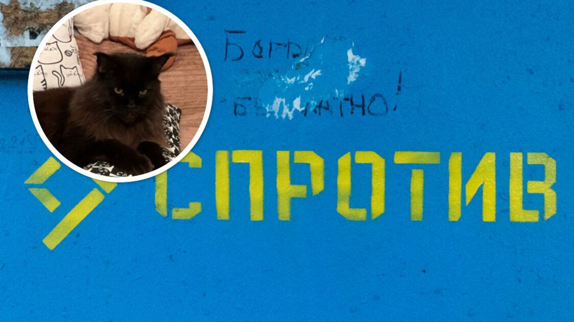 ЦНС про губернатора Севастополя Развожаєва