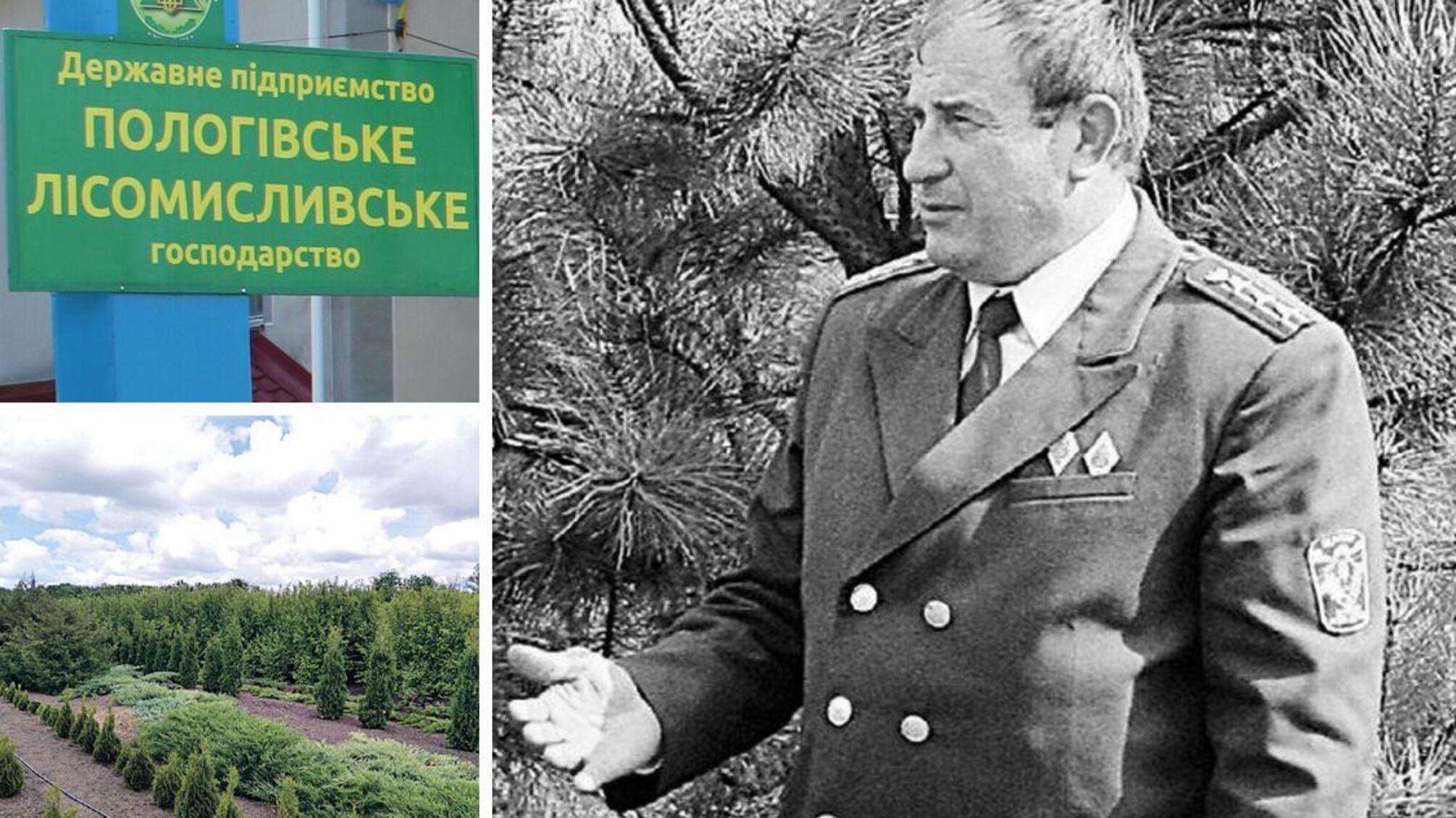 Володимир Носик, директор ДП 'Пологівське лісомисливське господарство'