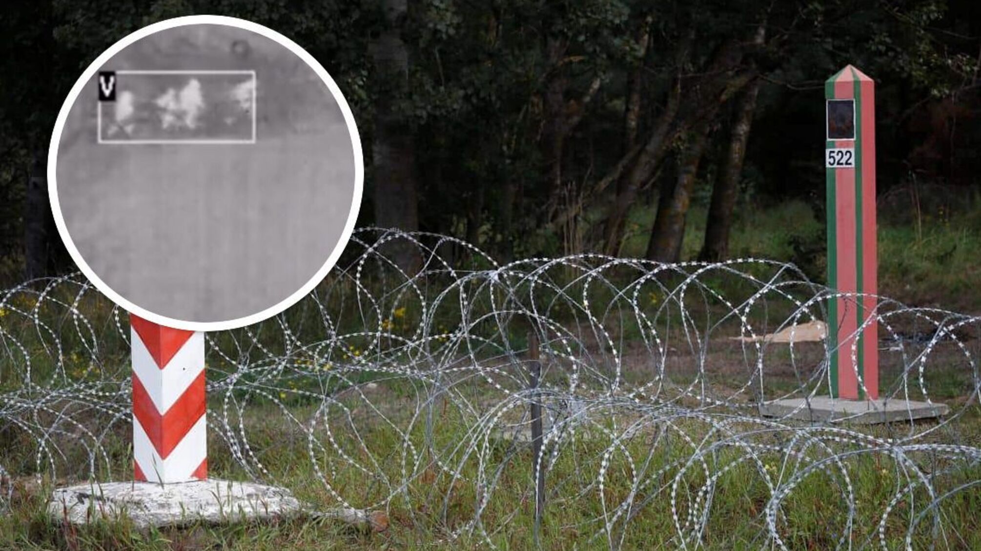 У Польщі затримали 'нелегалів', які намагались проникнути з території Білорусі