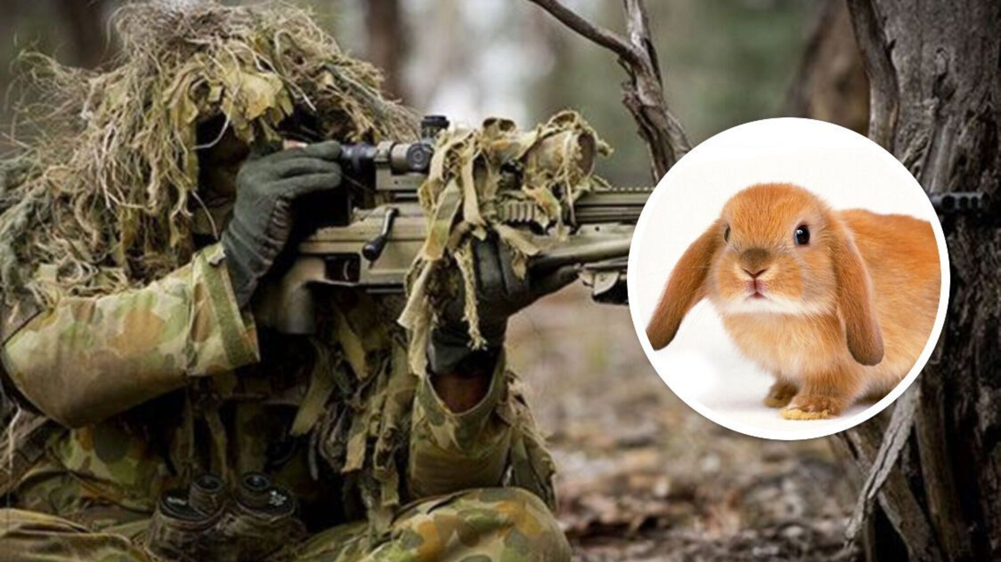 кролик снайпер
