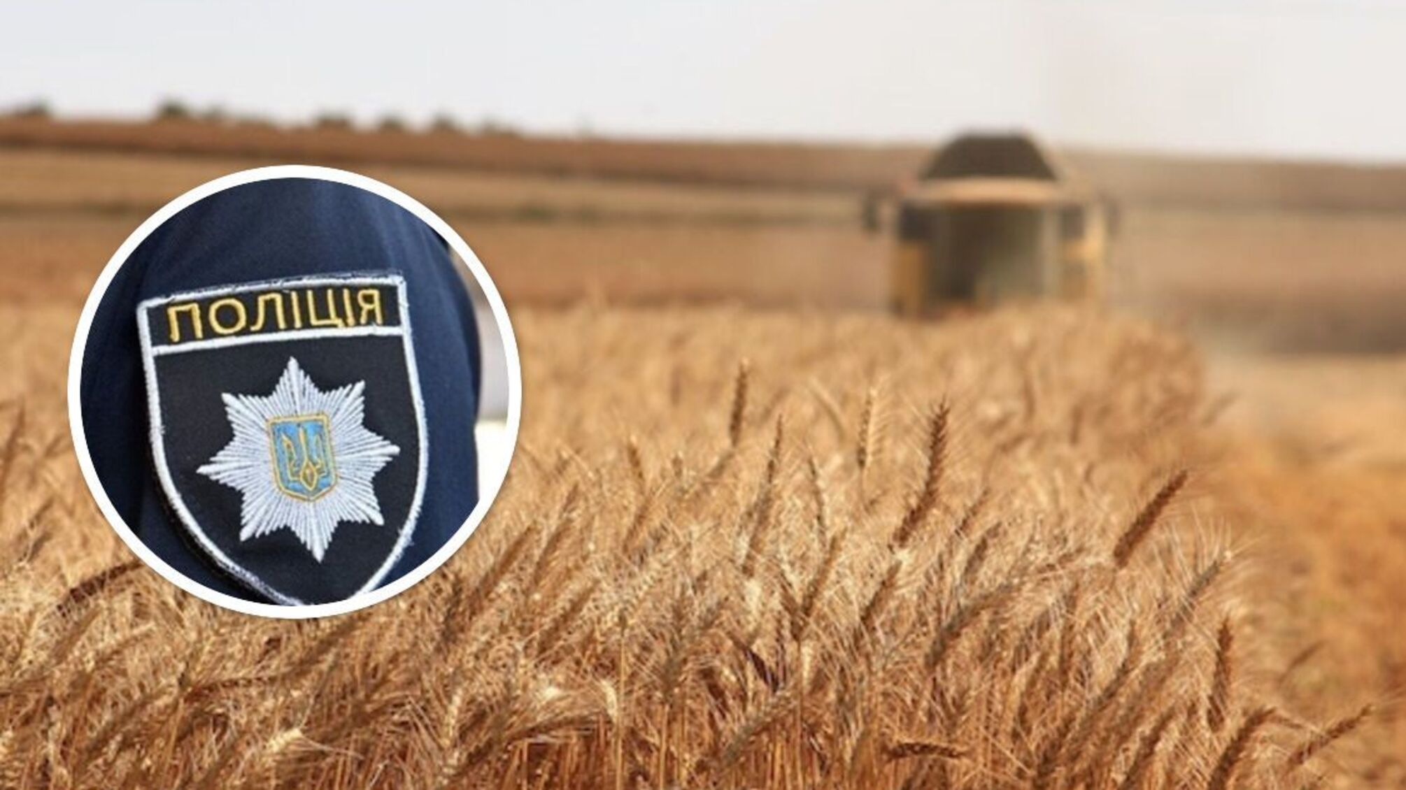 В Кировоградской области силовики заблокировали сбор урожая на государственном поле
