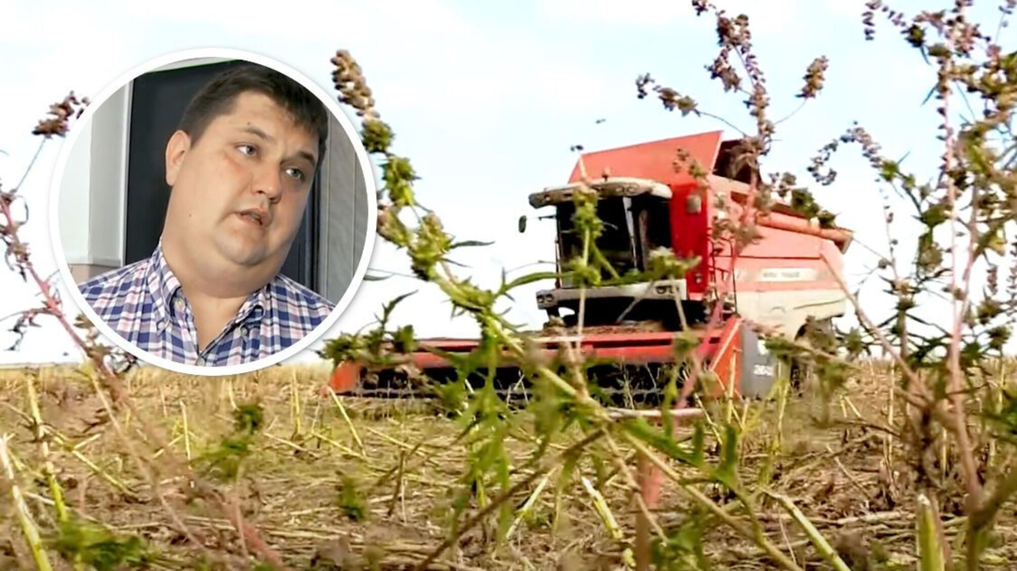 На Кировоградщине силовики блокируют сельхозработы на государственных землях: фермеры могут потерять урожай