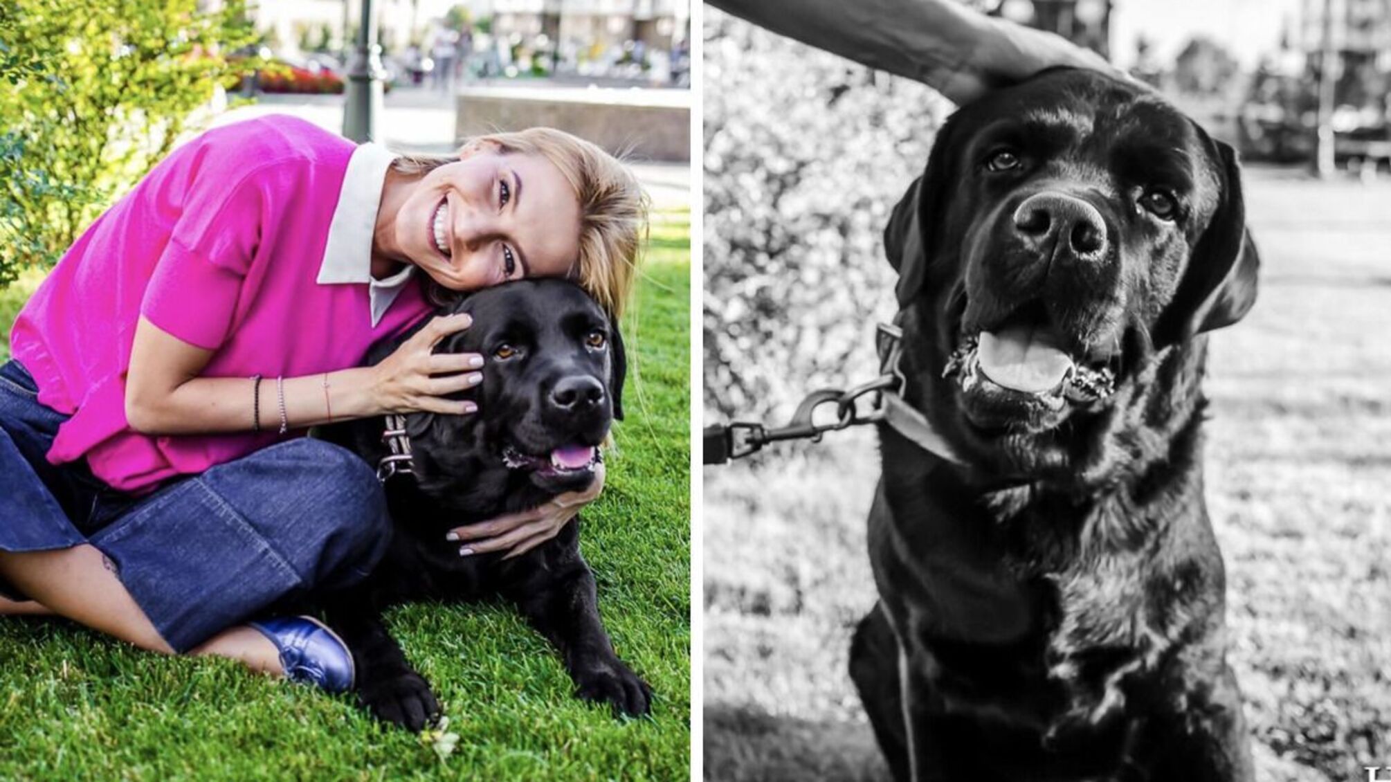 домашній улюбленець готельєрки Юрушевої