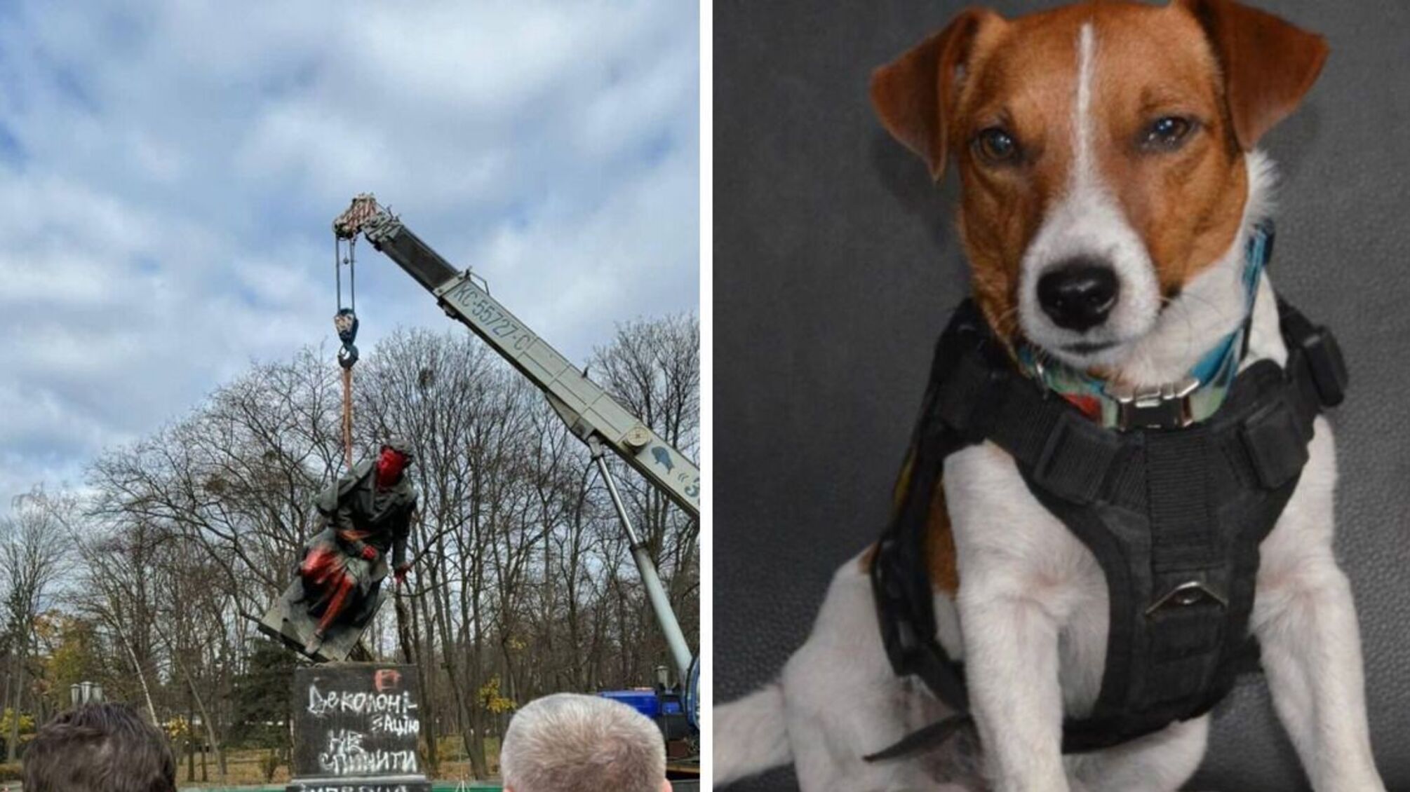 Активисты считают, что пес Патрон заслуживает собственного памятника в Киеве