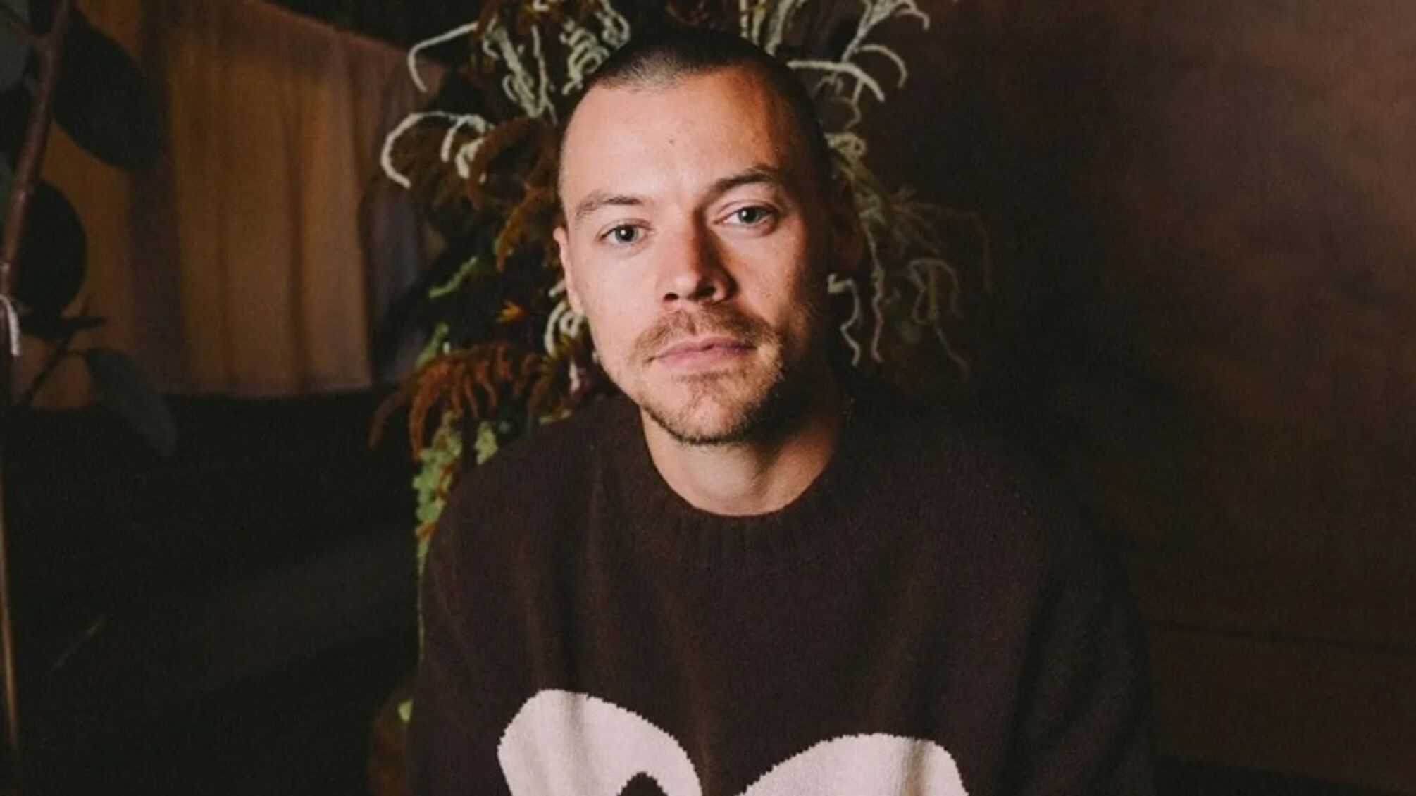 Мама Гаррі Стайлза взялась захищати його нову стрижку від негативу фанів