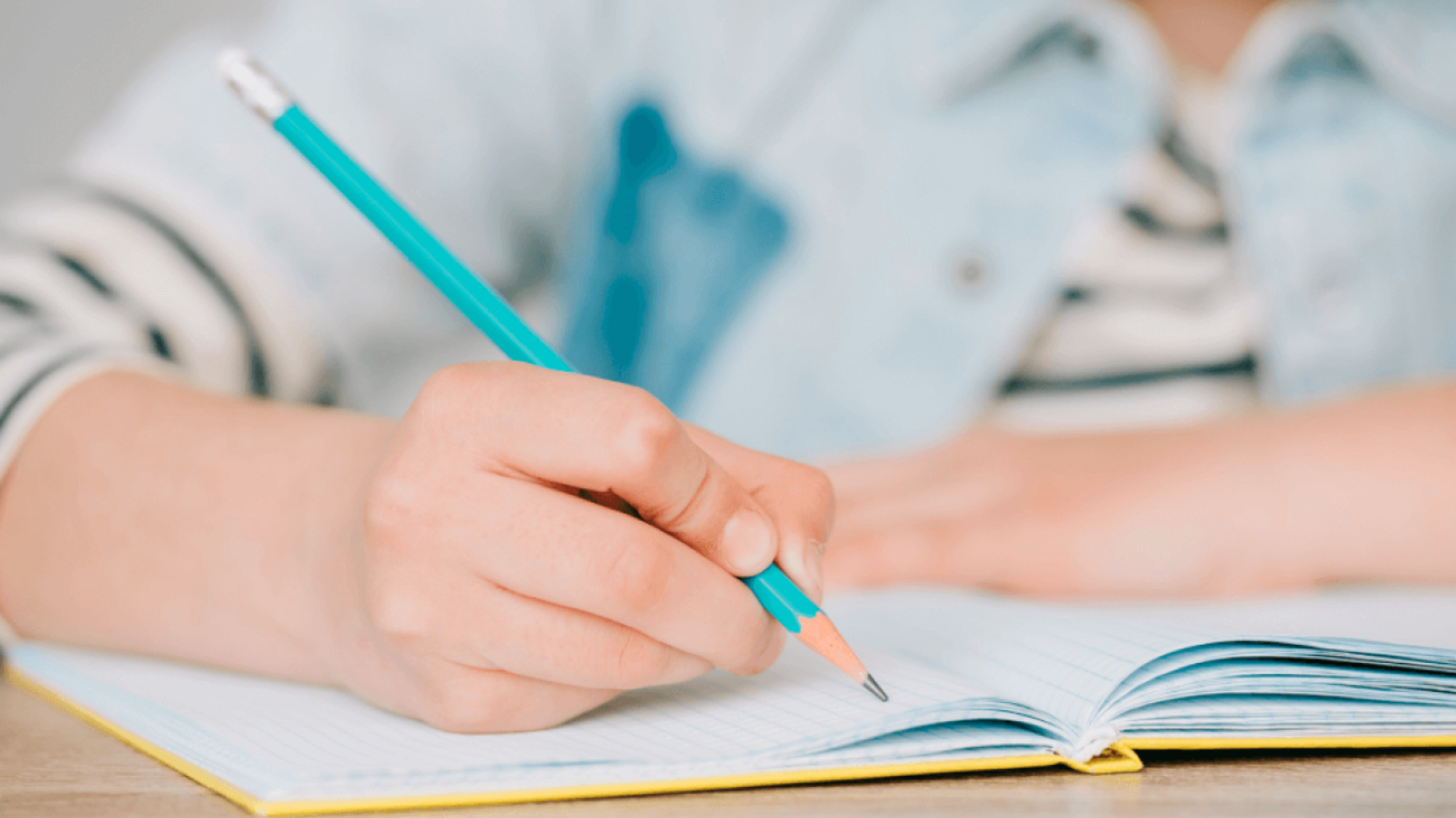 Совет принял закон о признании образования, полученного на оккупированных территориях