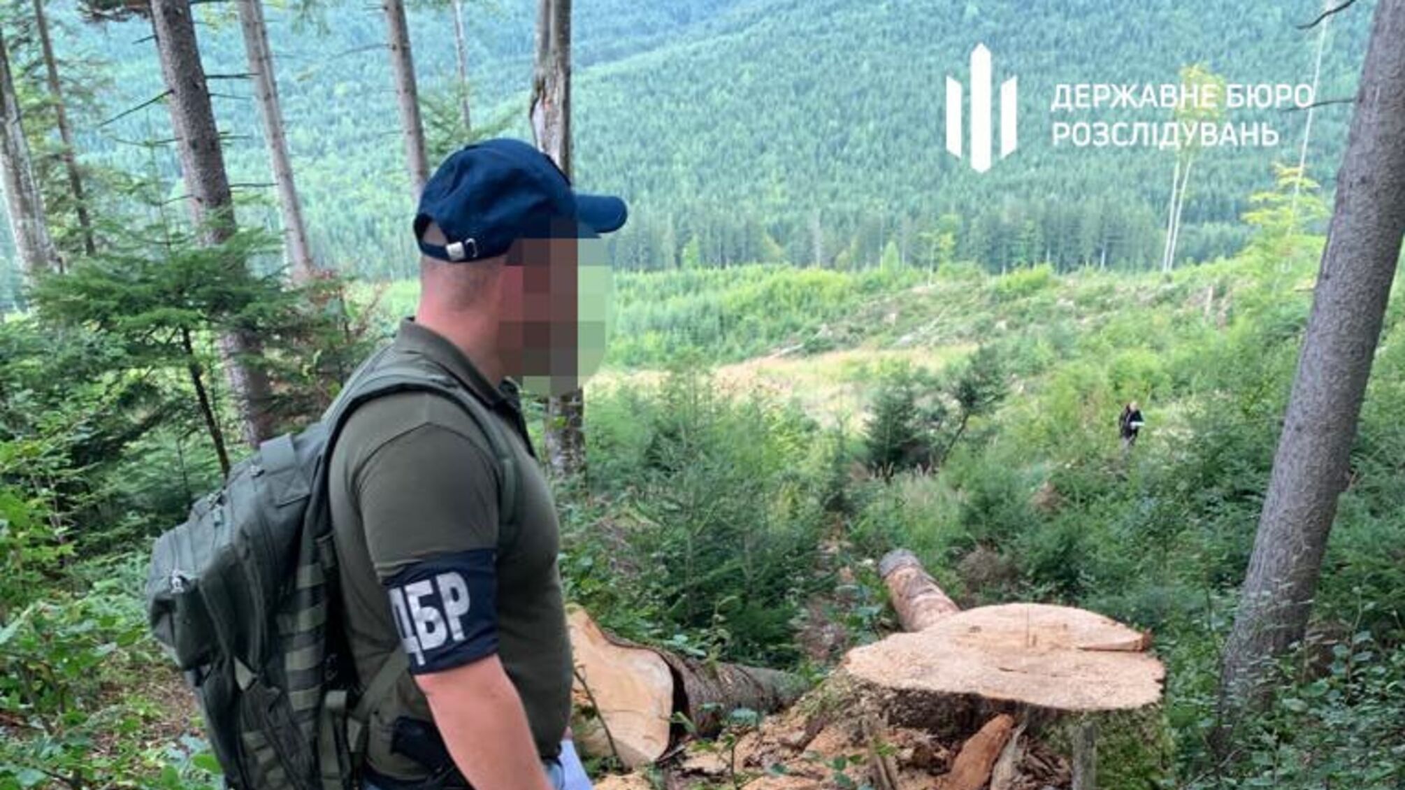 Нанесли 2,2 млн грн ущерба: будут судить незаконных лесников из Буковины