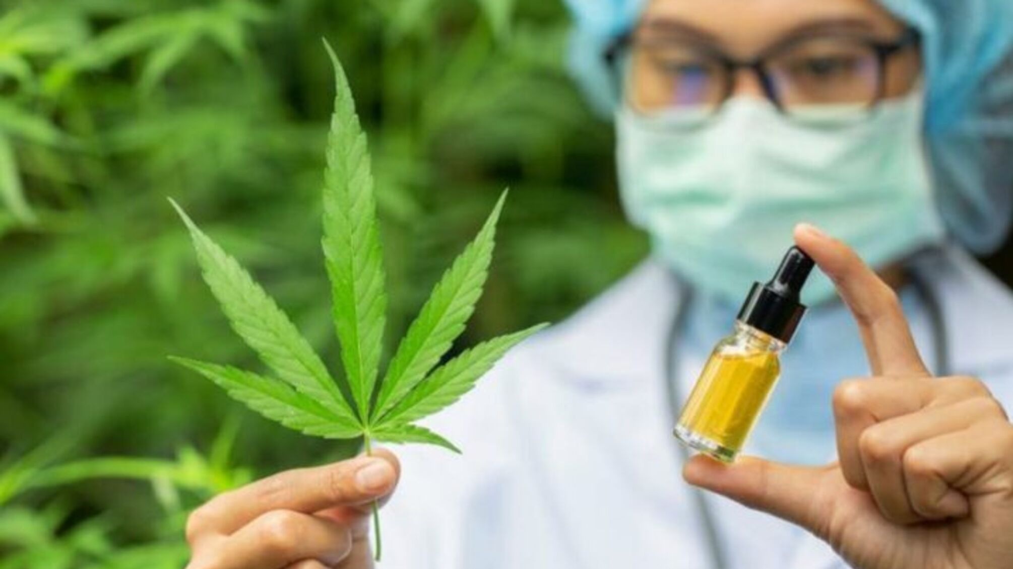 Україна розглядає легалізацію медичної марихуани для ветеранів війни та поранених солдат