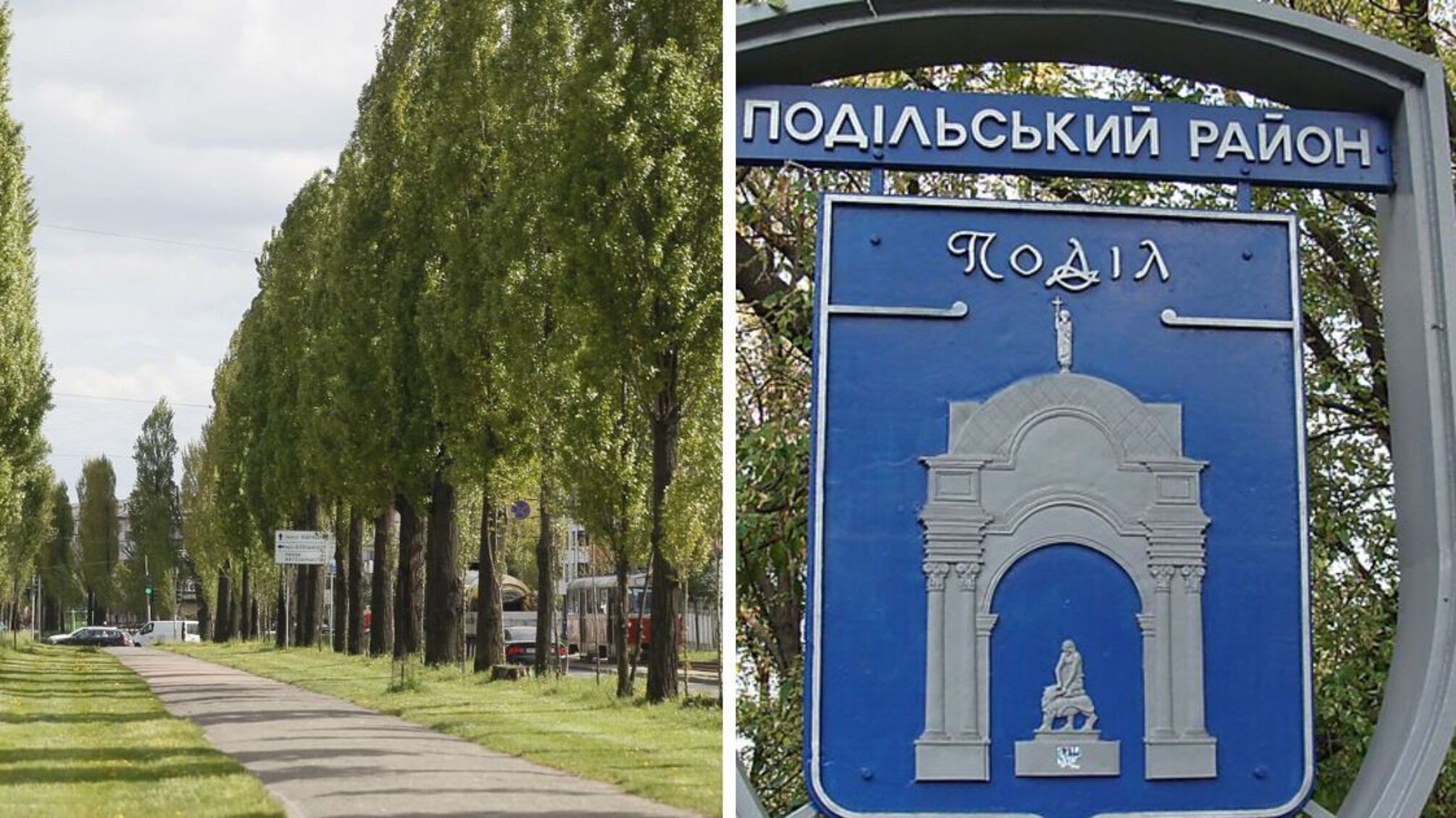 Саджанці для Подільського району мають доставити до 31 грудня