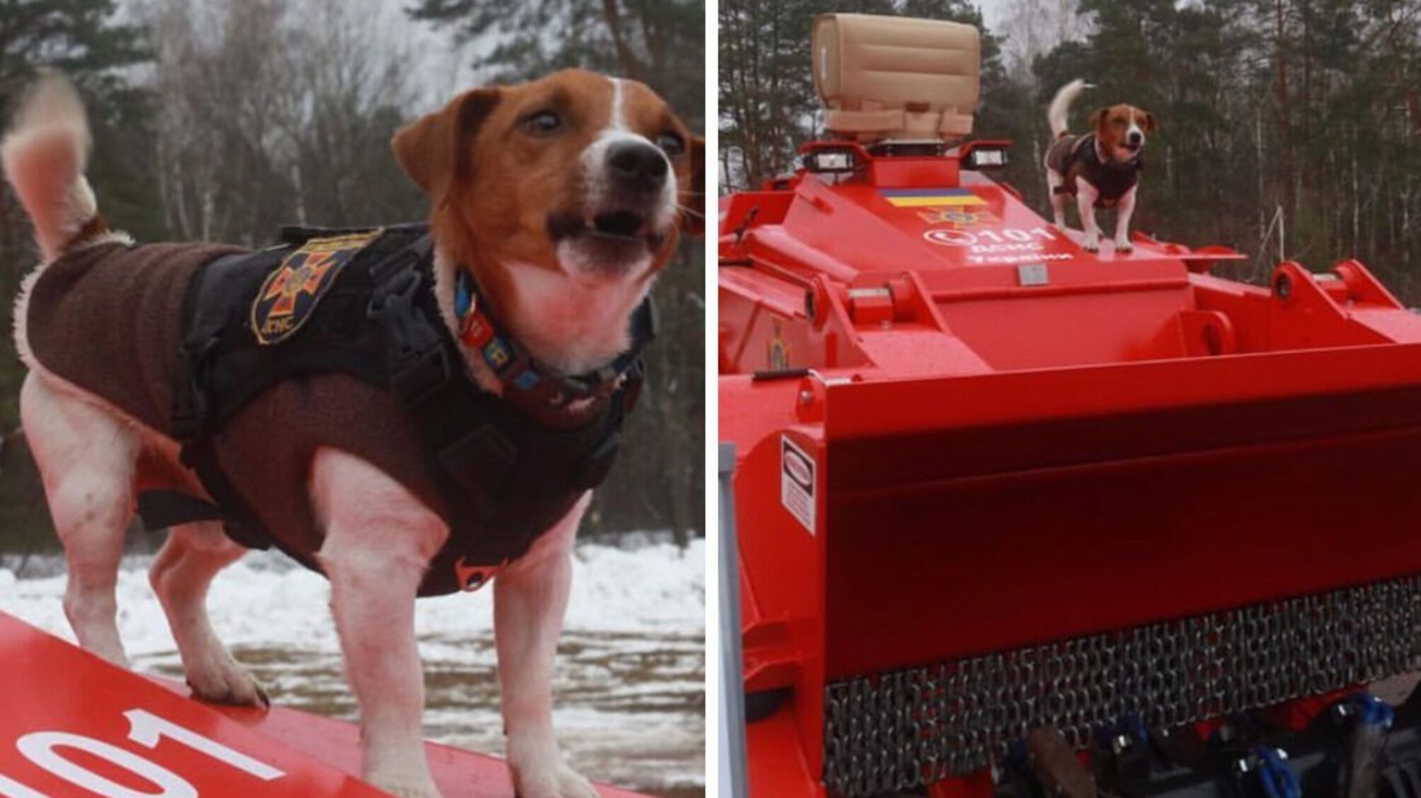 пес патрон нові машини