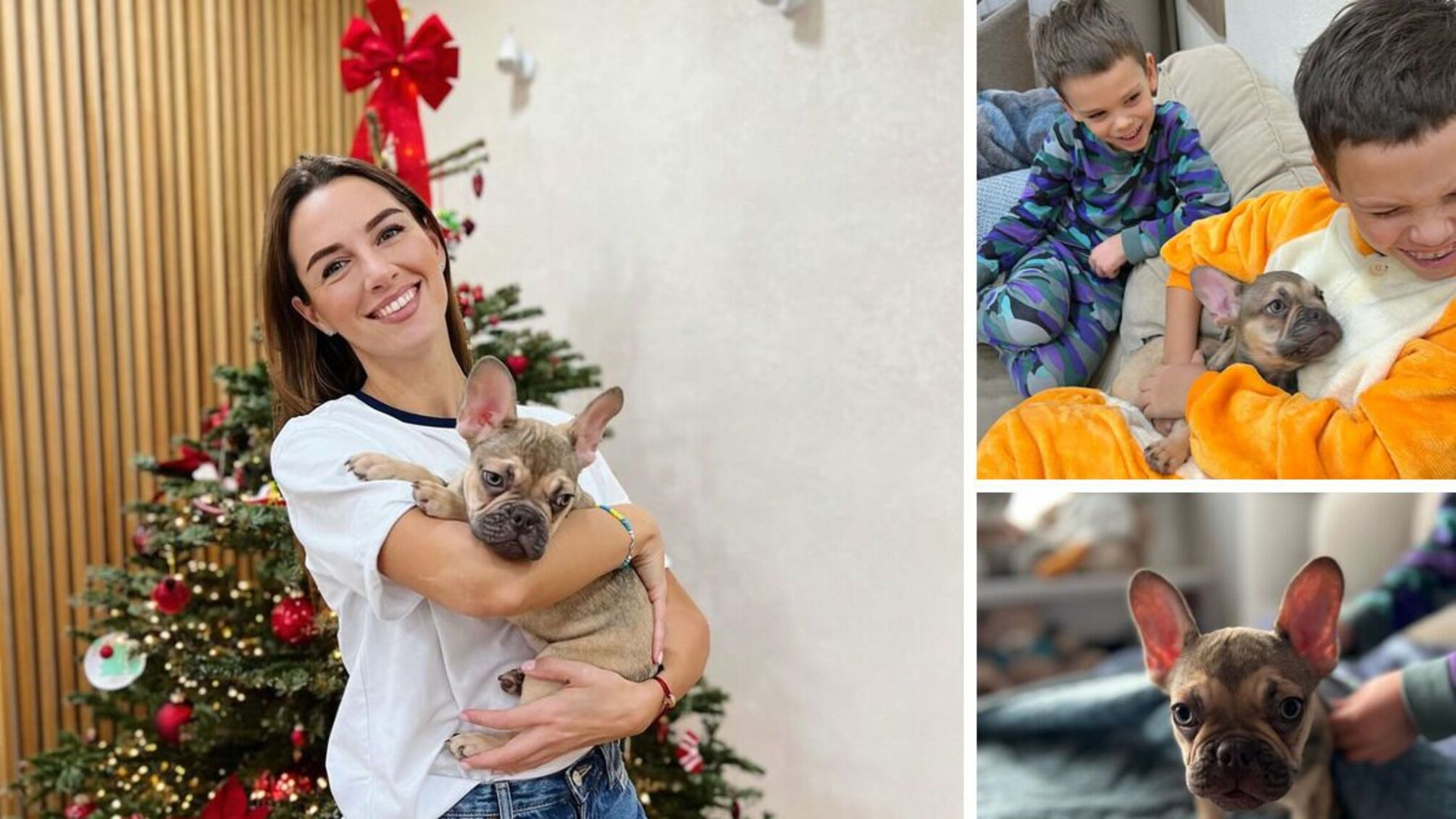 'Собаки – це любов': Христина Решетнік показала тимчасове поповнення у їхній родині