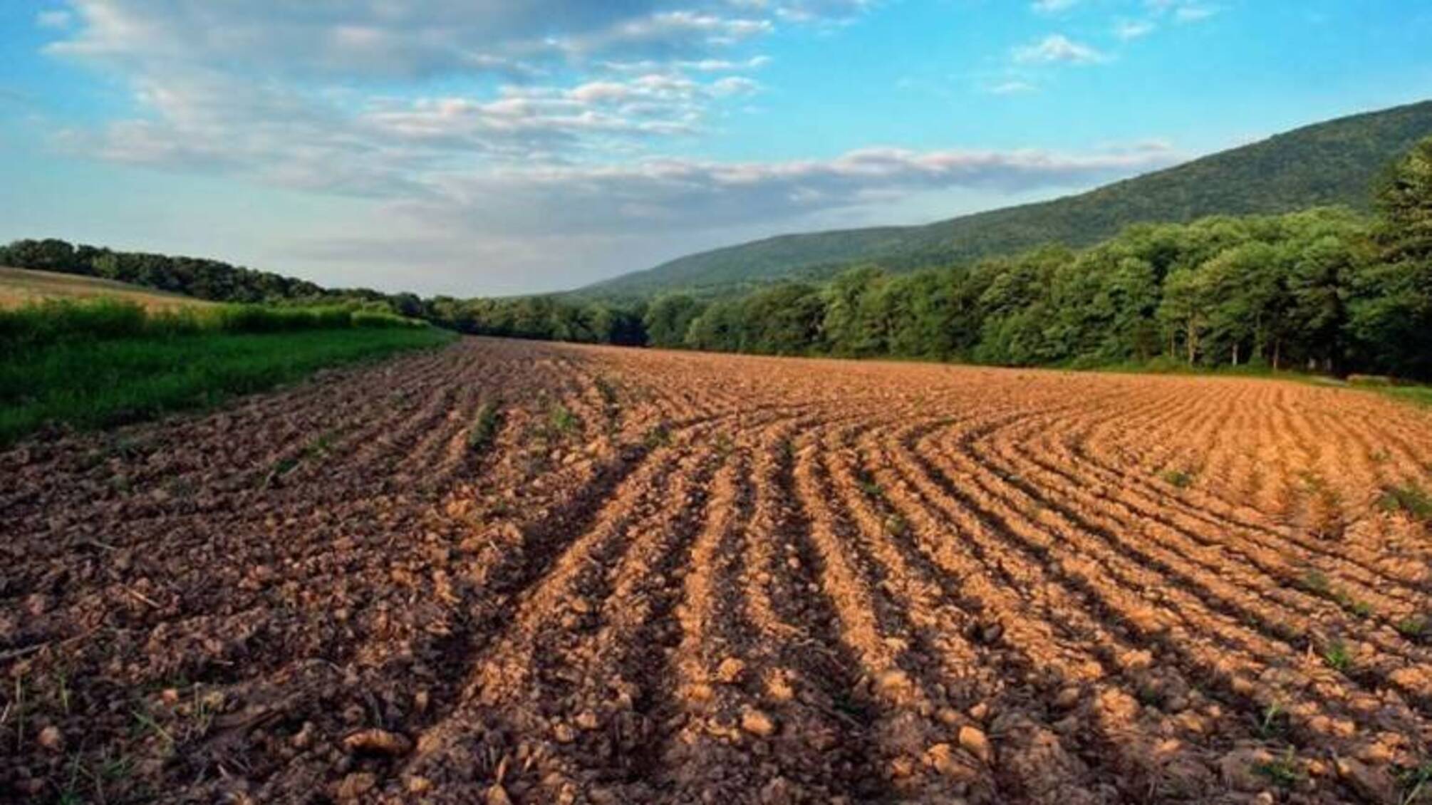 В росіян конфіскували 3 ділянки на Вінниччині