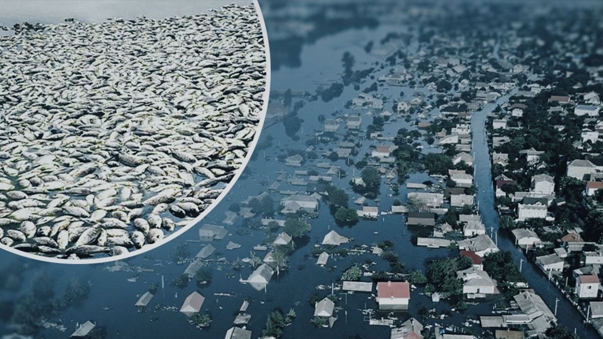 Відновленню не підлягають: журналісти провели експедицію селами, що постраждали від підриву Каховської ГЕС