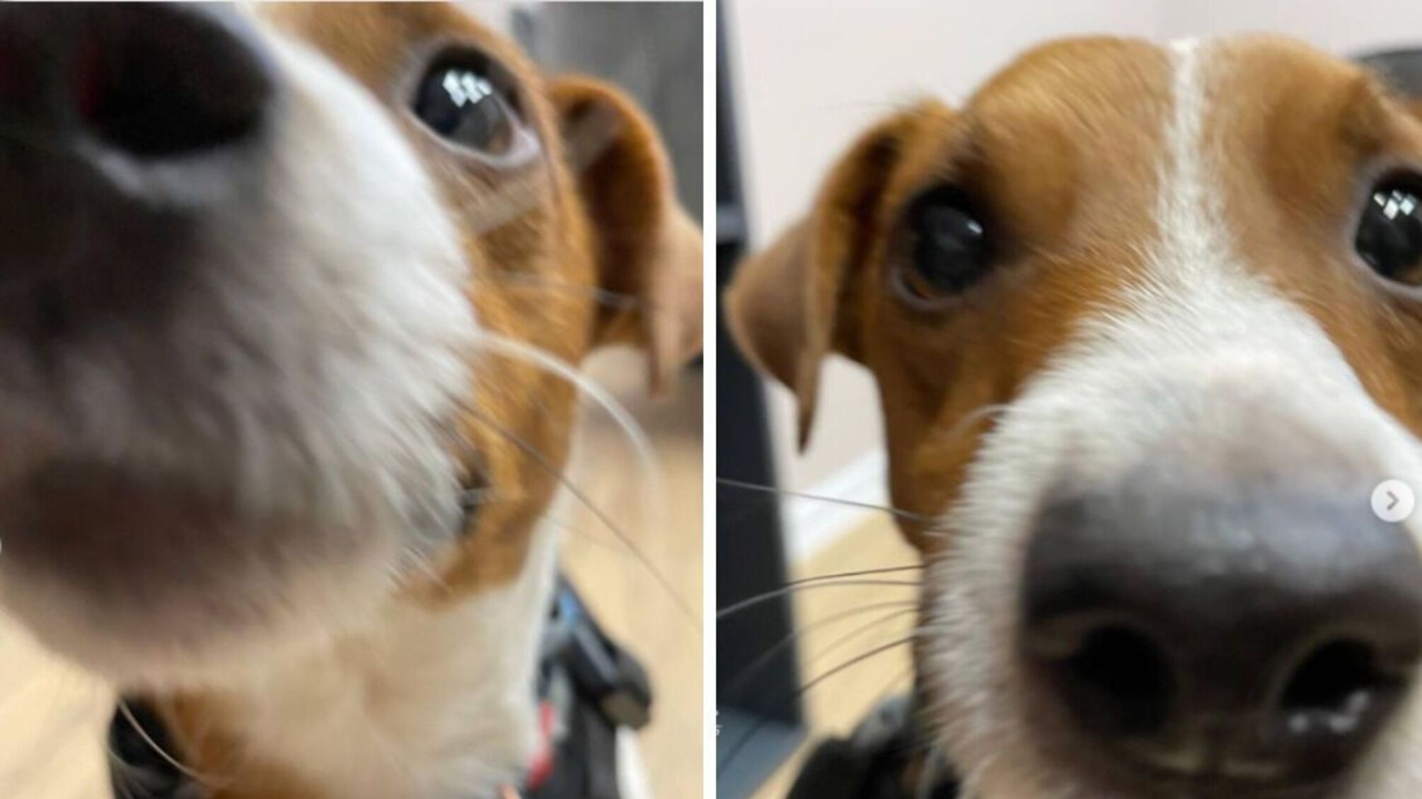 В кругу друзей с забавными фото и важными мыслями о жизни