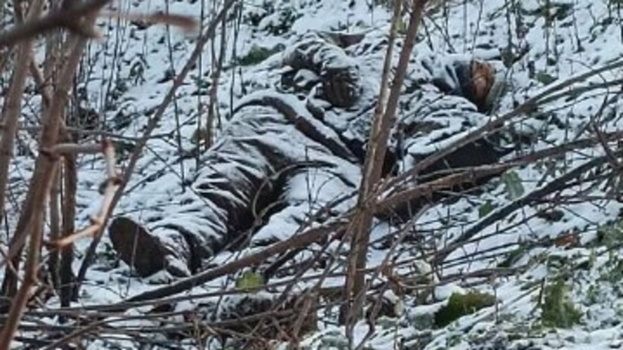 Знищений російський солдат приліг в полі 'відпочити'