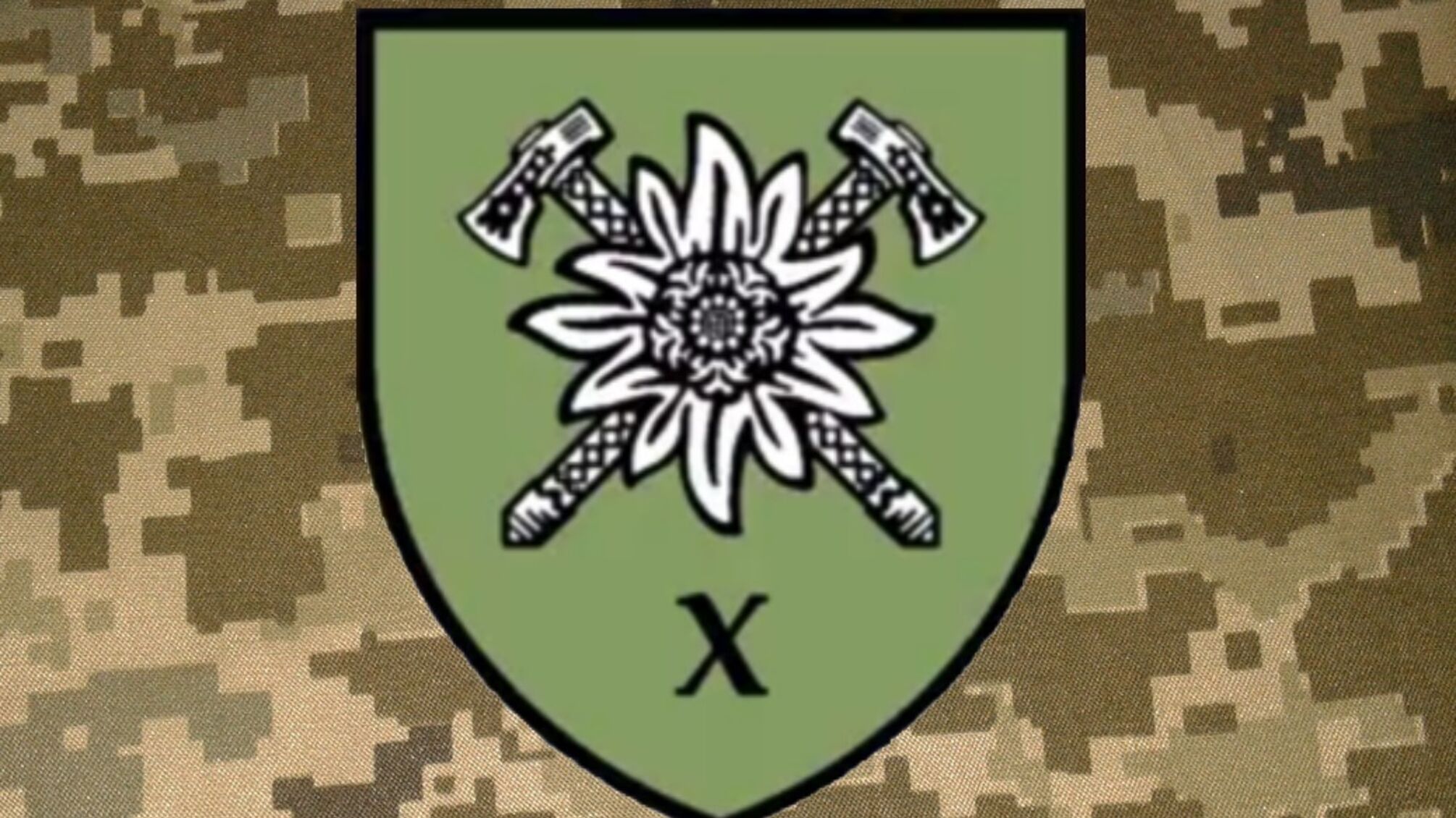 Эдельвейс и скрещенные гуцульские топоры изображены на эмблеме 10-й бригады