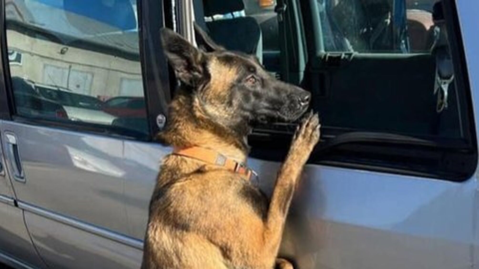 Львівські митники виявили у пункті пропуску на кордоні з Польщею півтора кілограми кокаїну