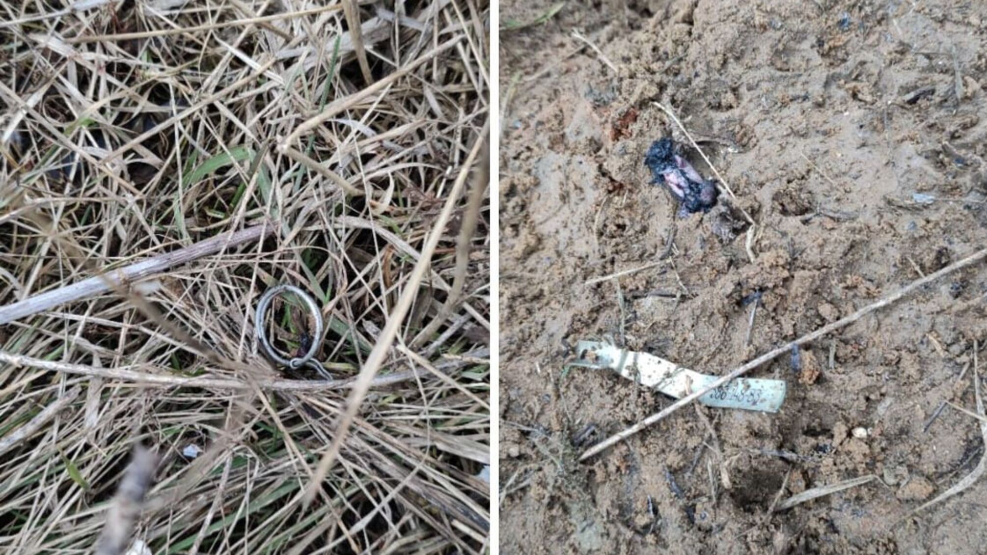 В результате взрыва гранаты в гаражном кооперативе Харькова погиб мужчина