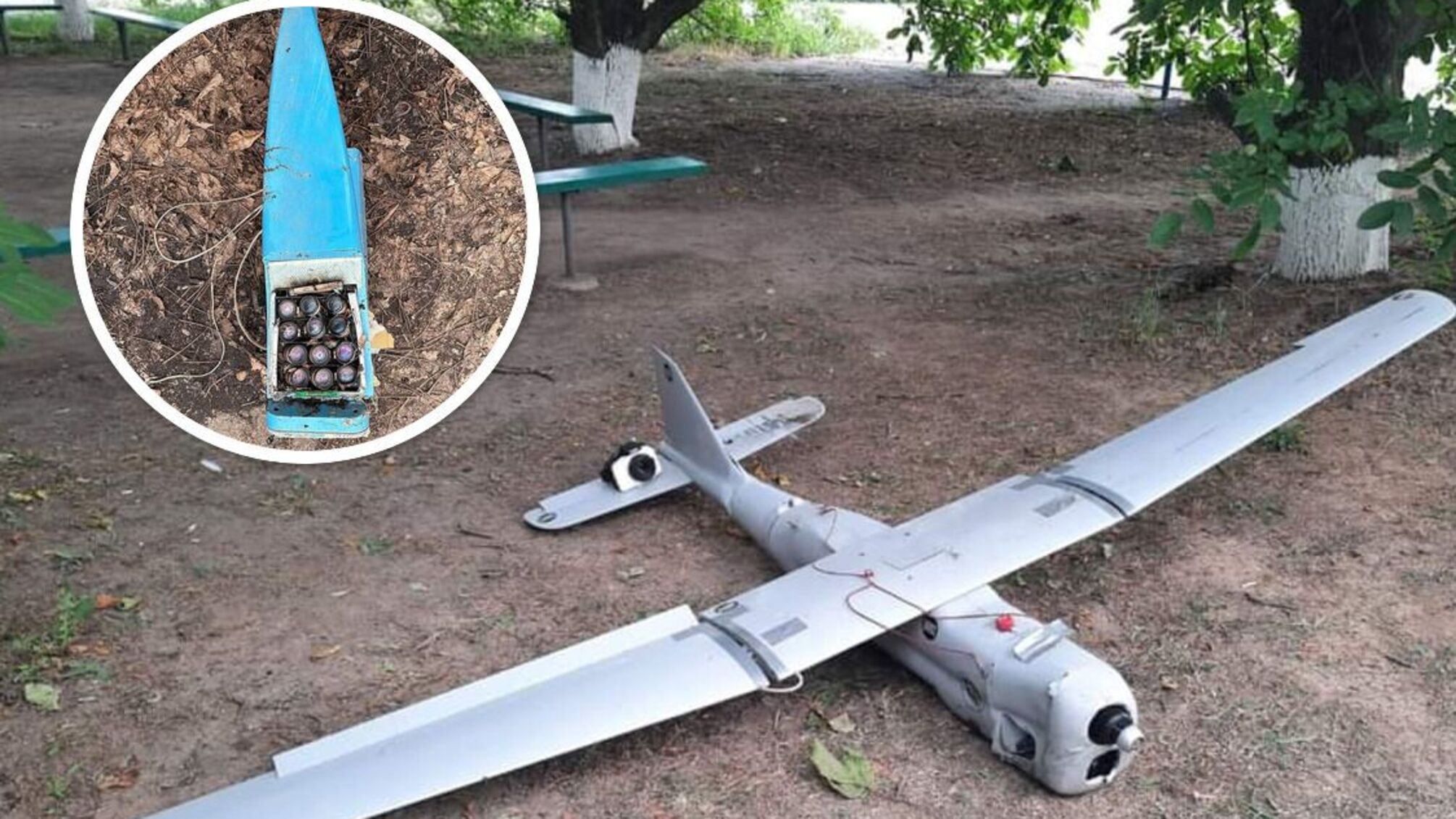 БПЛА 'Картограф' - неофіційна назва авіаційного комплексу сімейства 'Птеро'