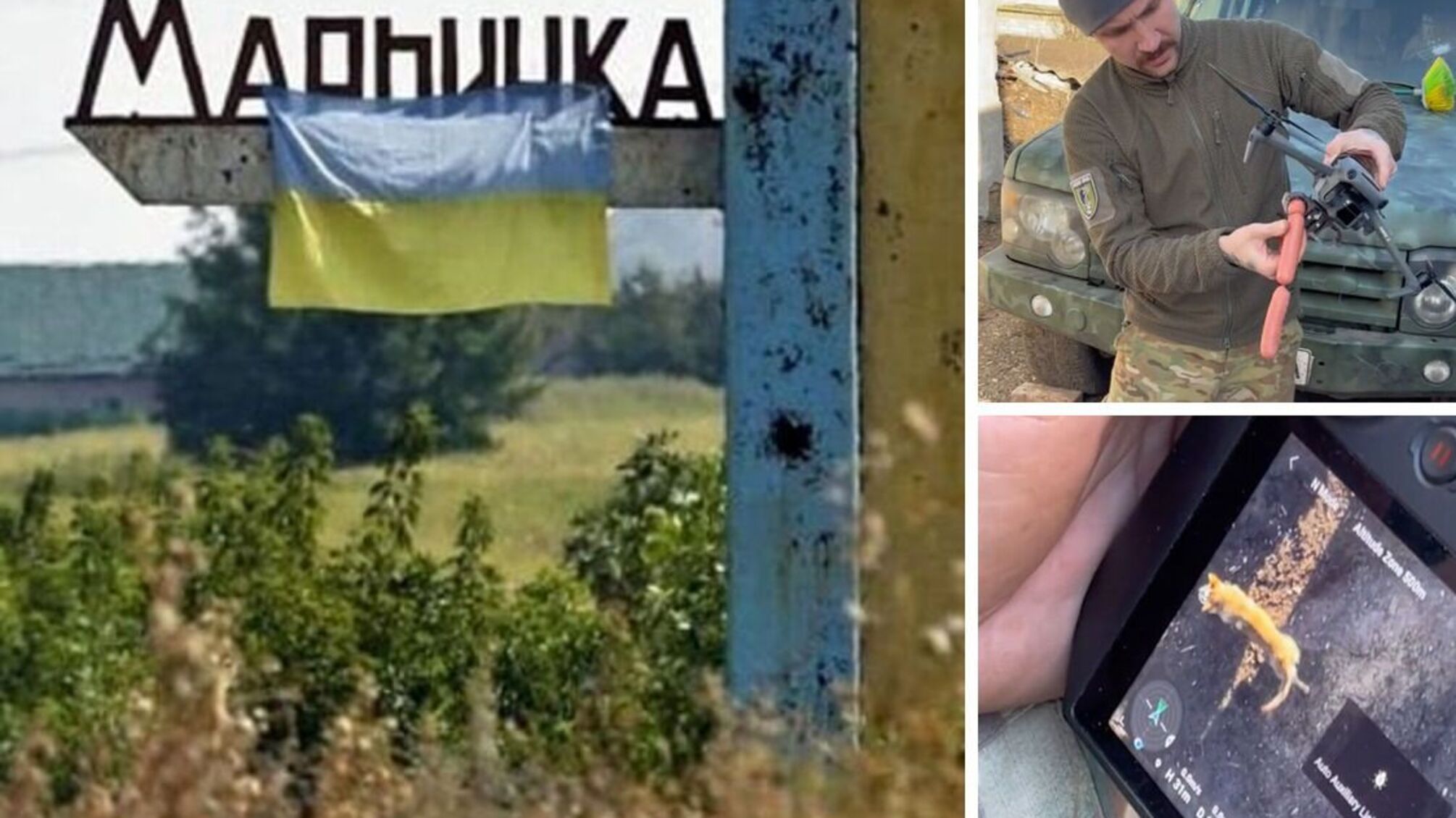 Аеророзвідники ЗСУ показали, як з дронів підгодовують покинутих тварин на Донеччині