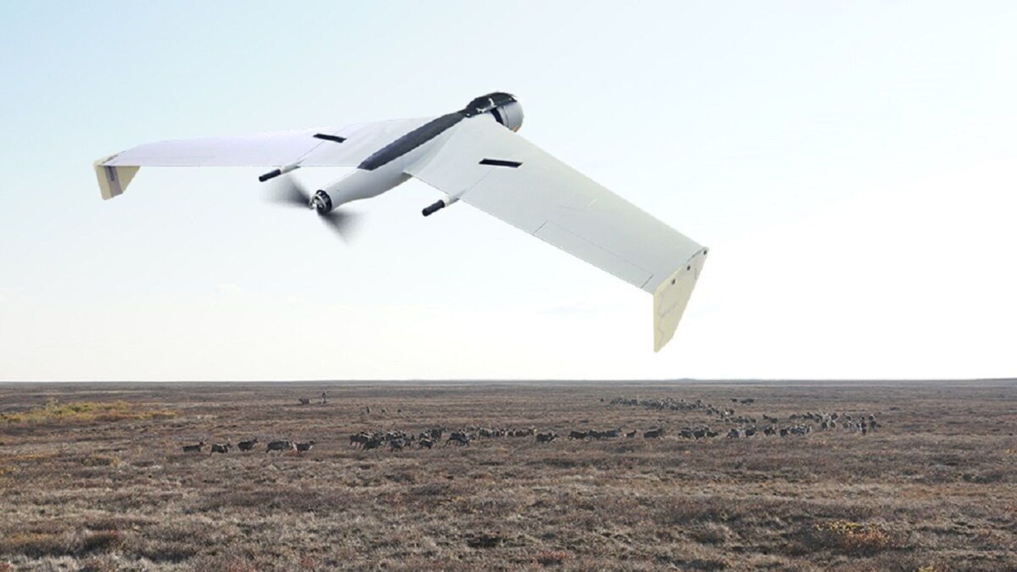 дрон-камикадзе