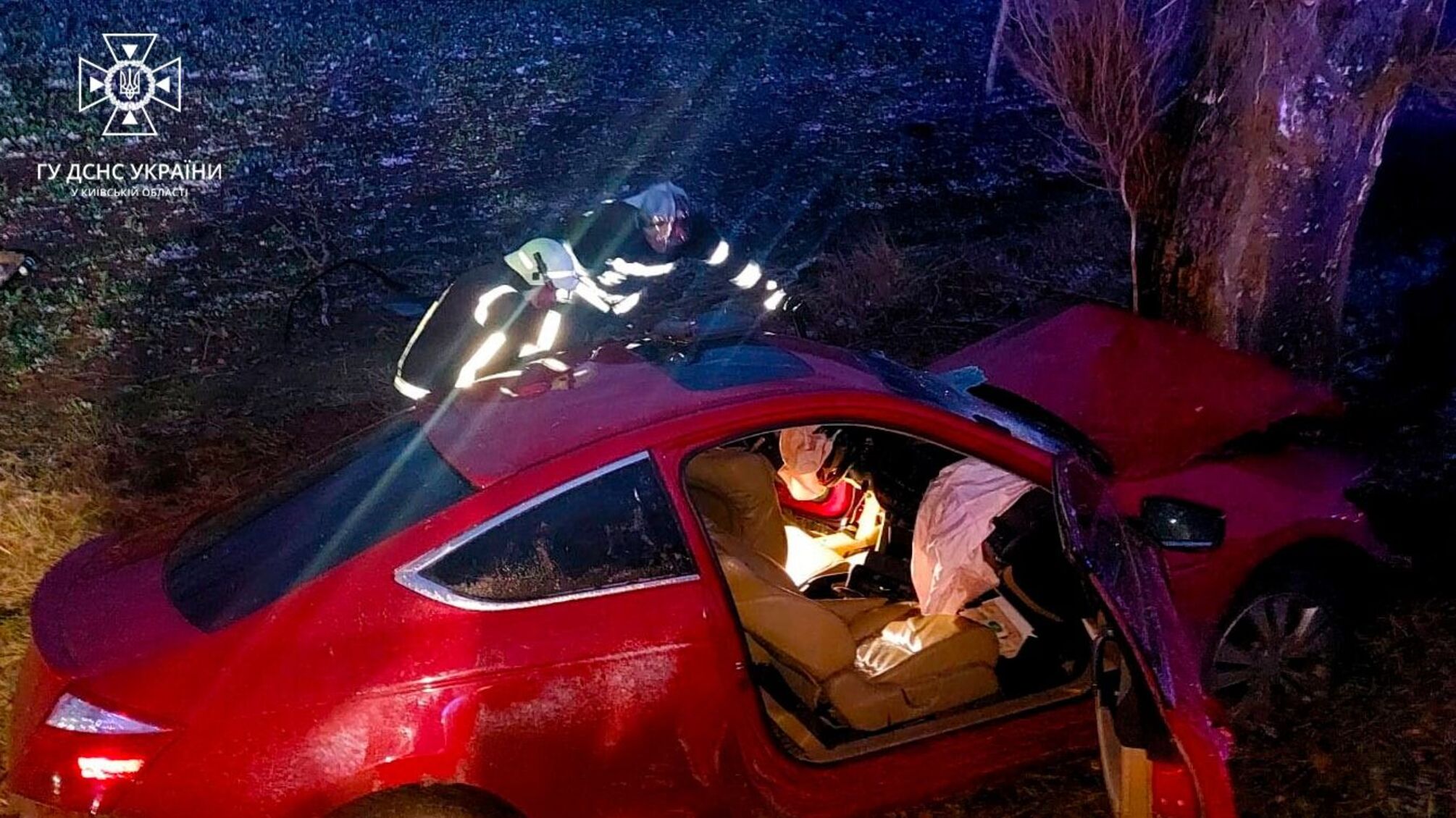 Під Києвом – смертельна ДТП: легковик вилетів у кювет і зіткнувся з деревом (ФОТО)