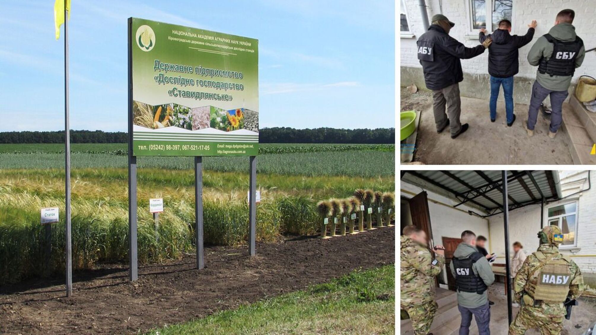 Задержания на ГП ОХ 'Ставидлянское', совместно проводимые СБУ и НАБУ