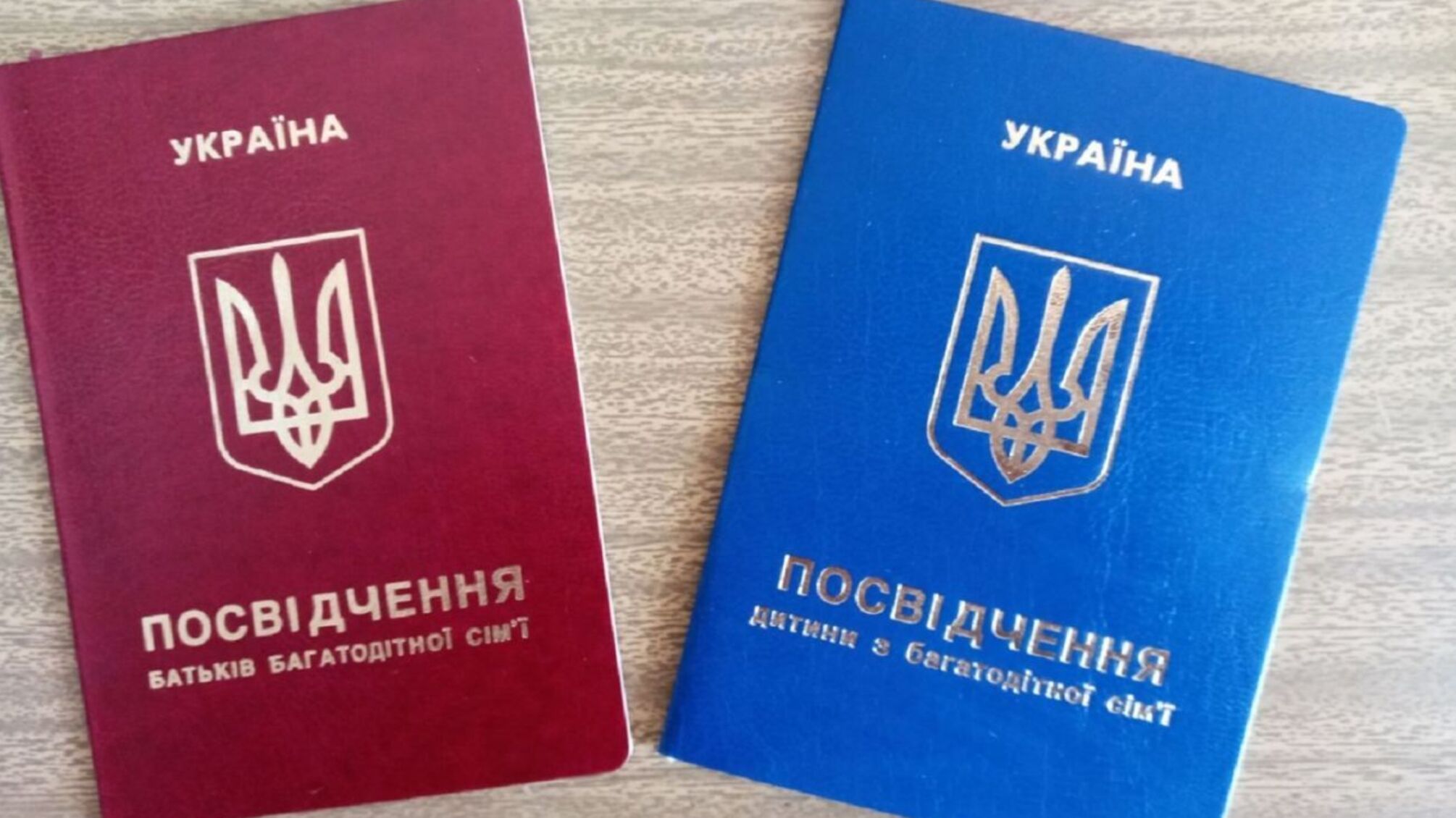 У Чернівецькій області ухилянт від мобілізації 'приписав' собі третю дитину