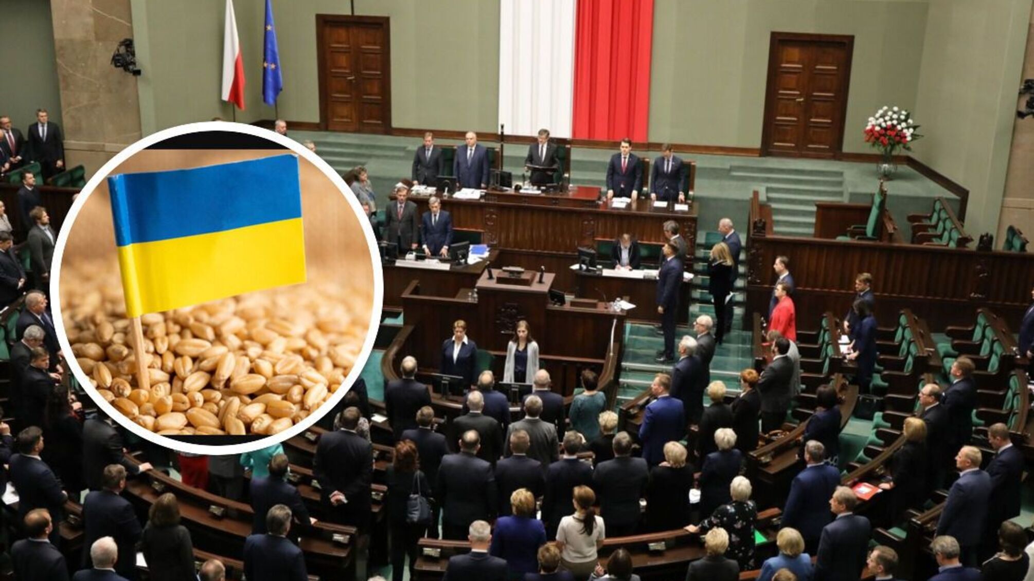 Польща заборонила імпорт зерна, м'яса, молока з України: у списку - 17 позицій - деталі