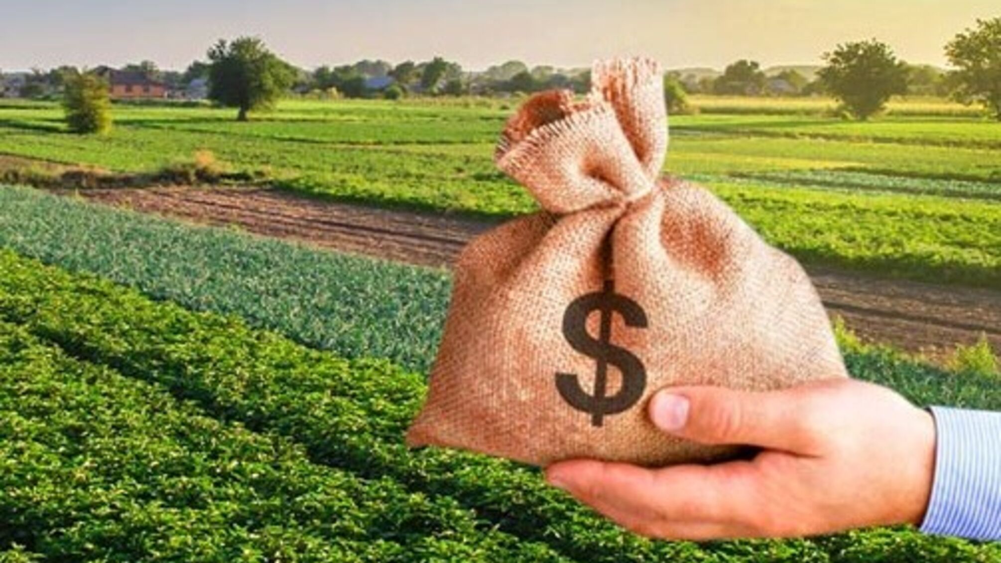 В Николаеве через суд забрали земельный участок у бизнесмена, не платившего за аренду