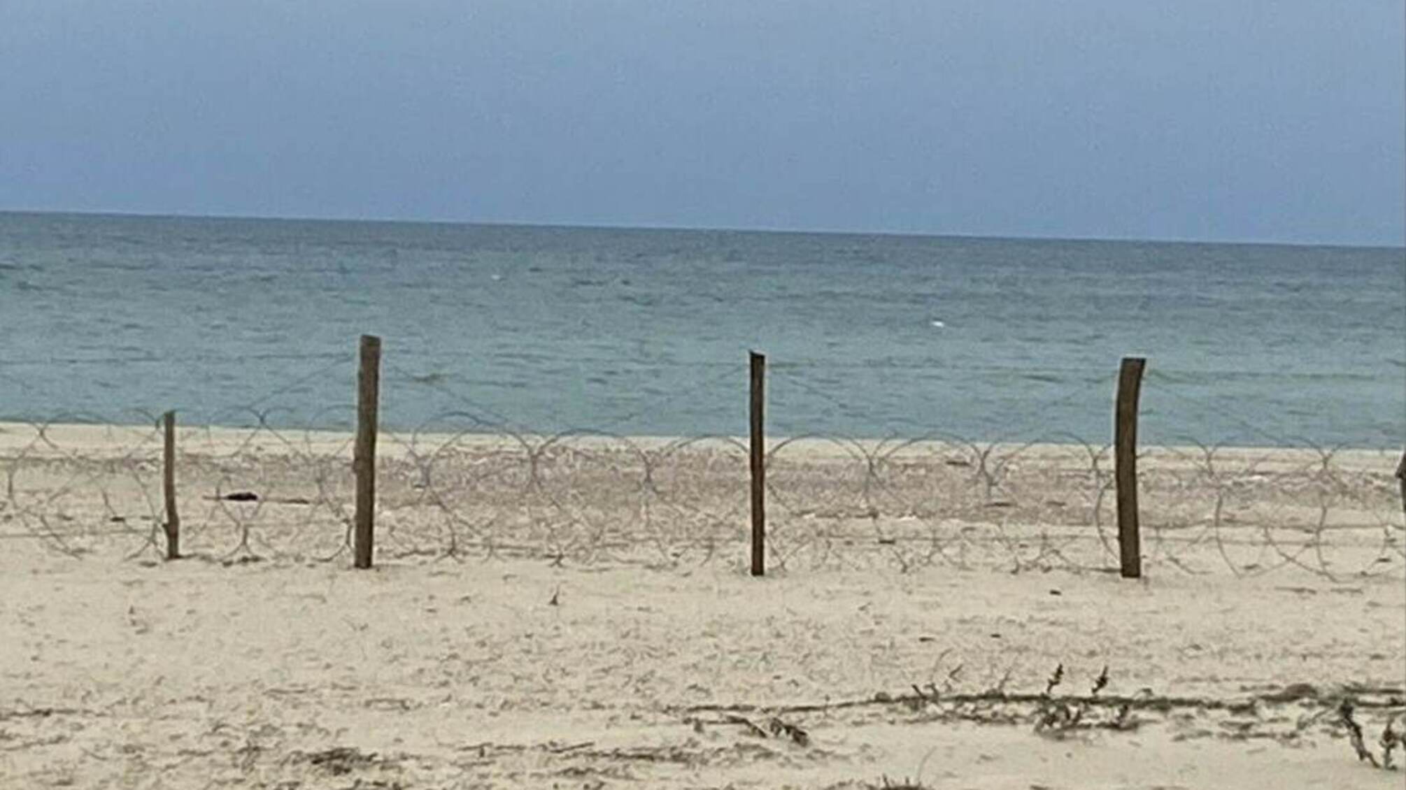 Побережье Затоки поросло травой