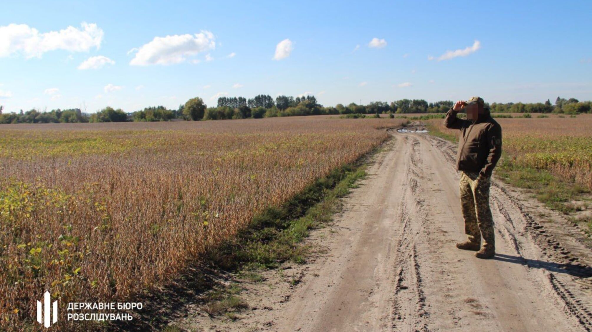 незаконный агробизнес в пограничной полосе