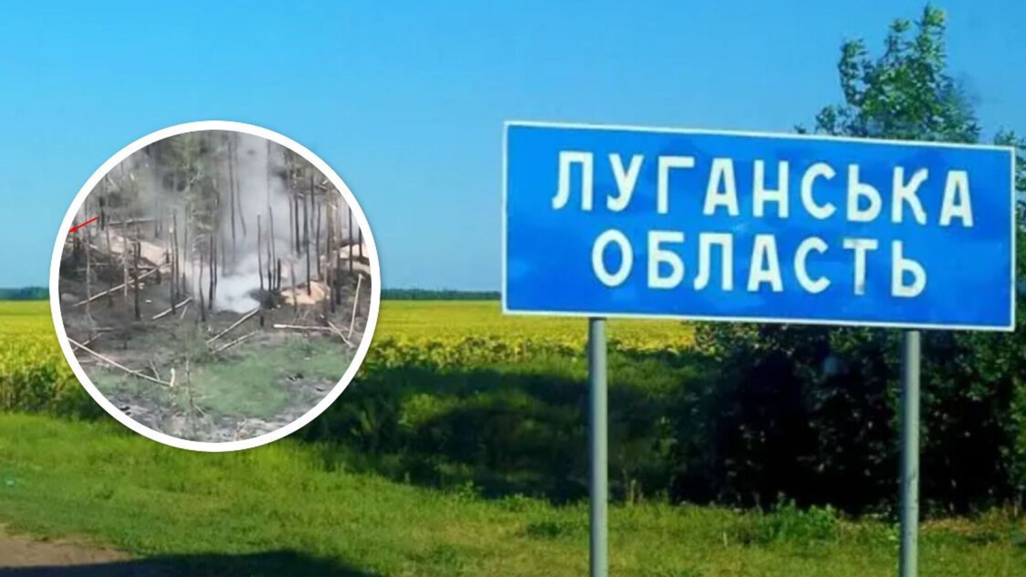 Луганщина: под Кременной ВСУ обезвредили минометный расчет армии рф (видео)
